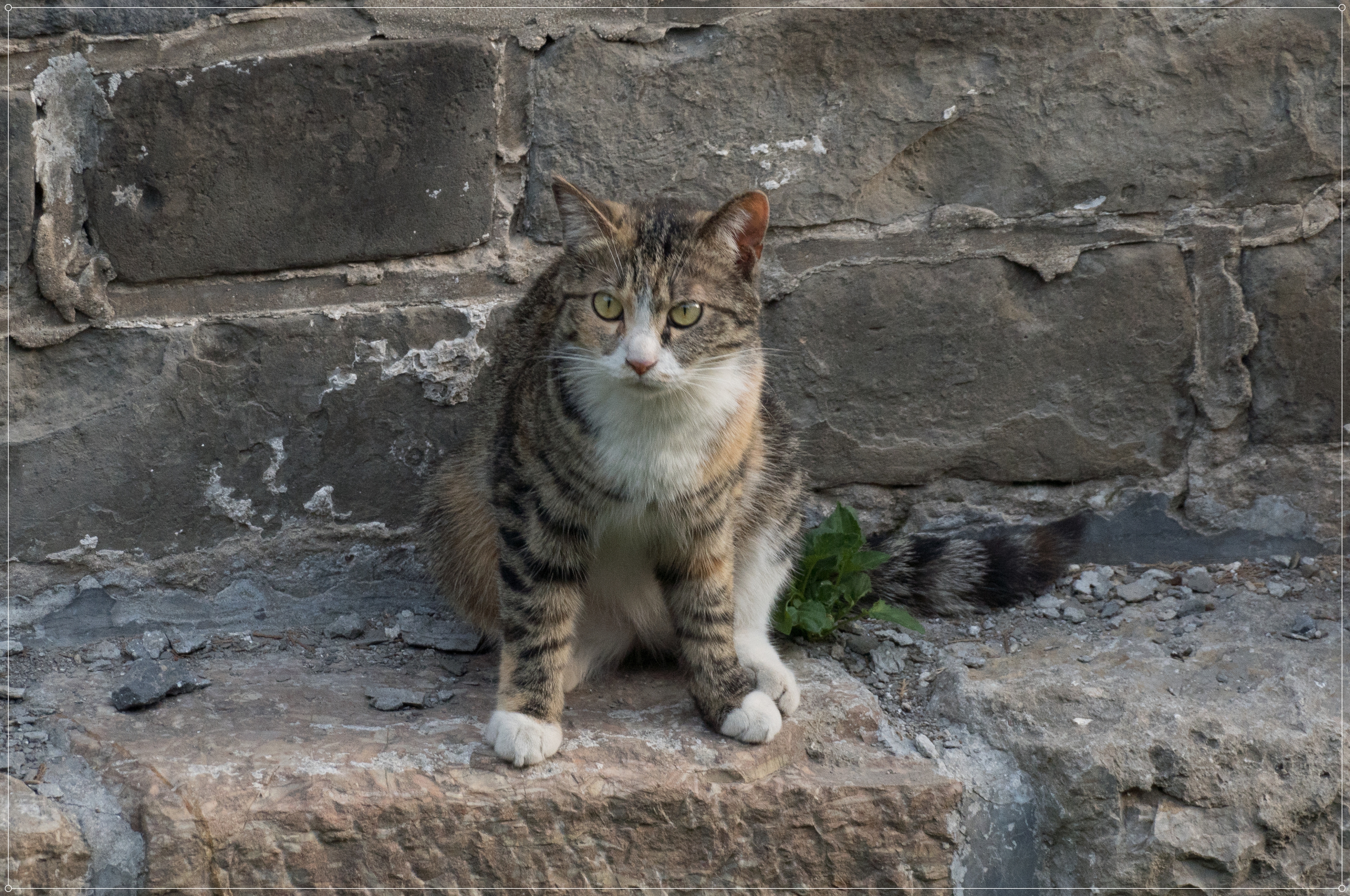 DSC05509_.jpg