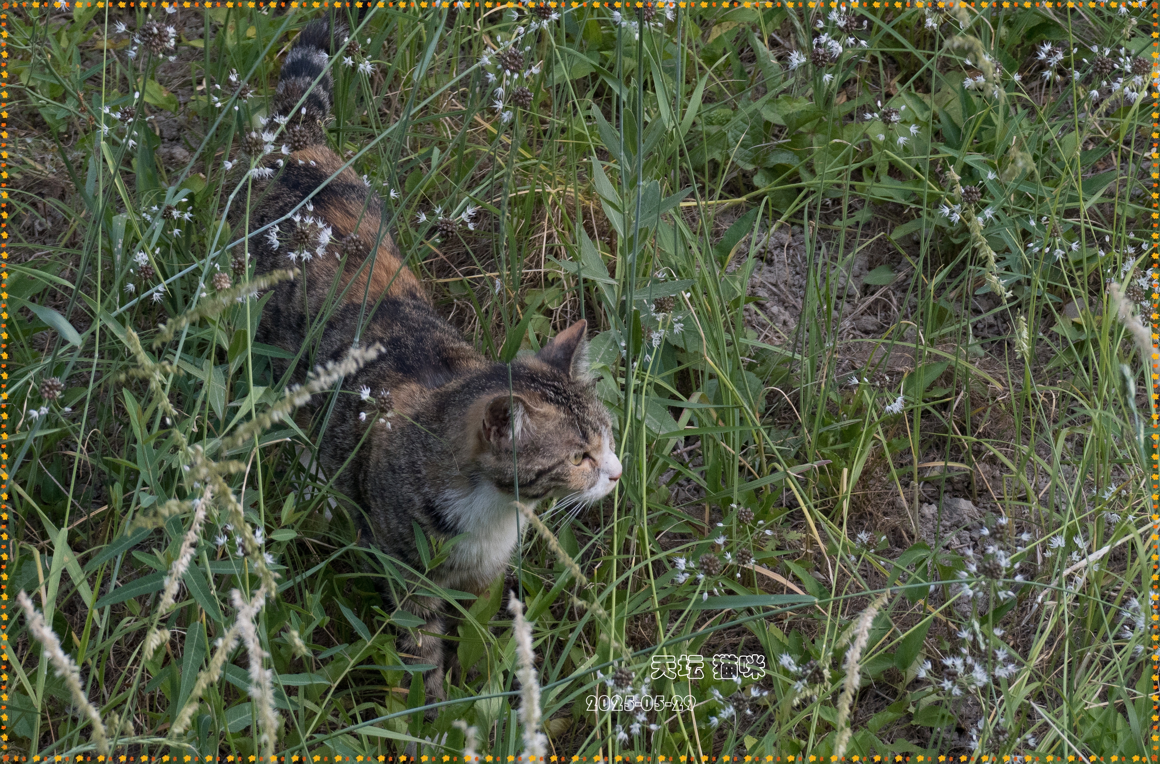 DSC05545__.jpg