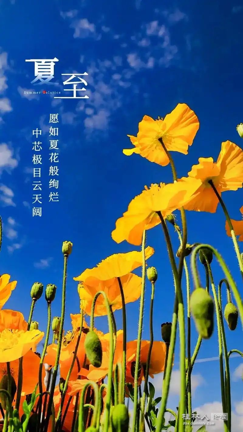 u=1353905573,1115996544&fm=253&fmt=auto&app=138&f=JPEG_ͼ.jpg