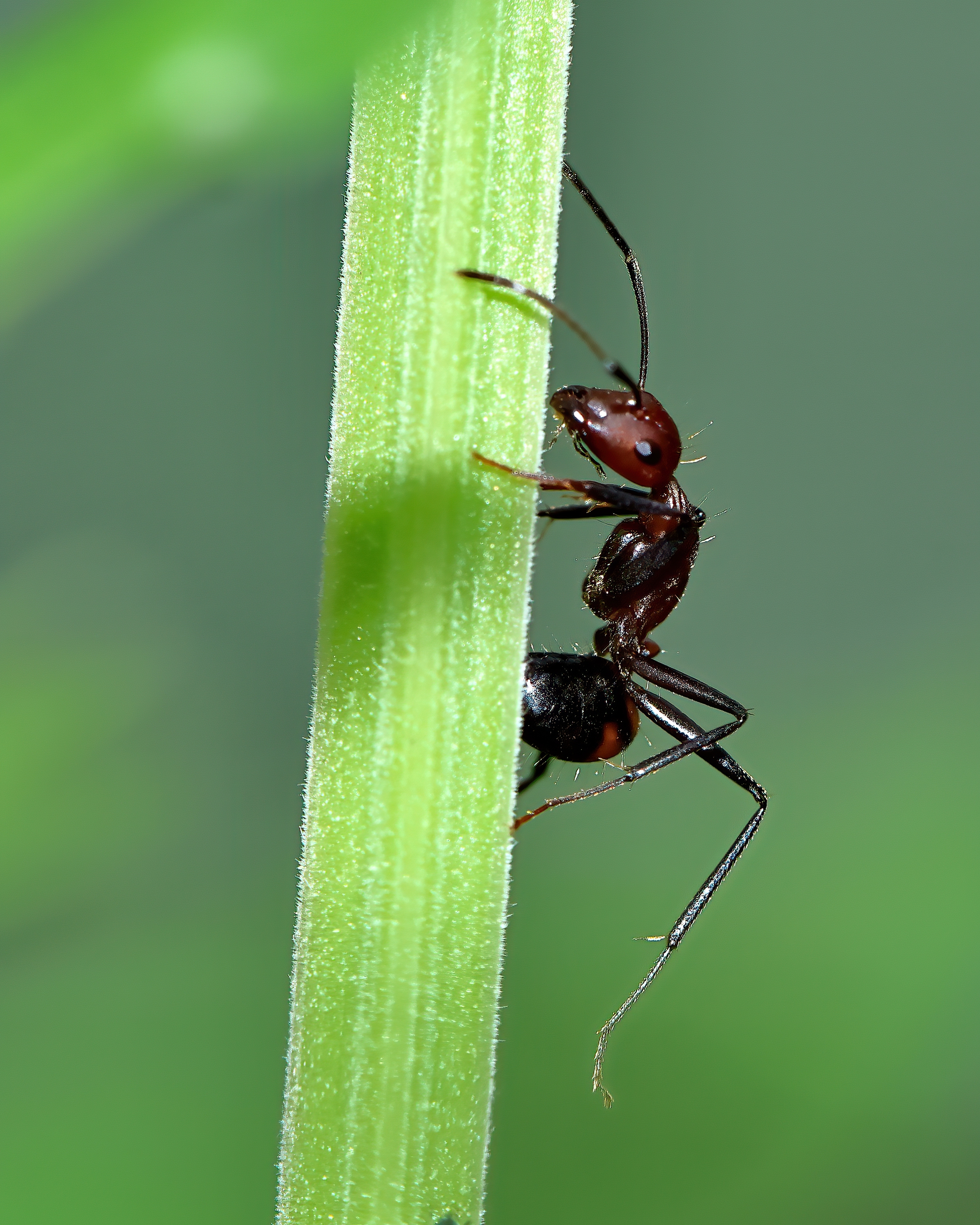 5D2A7977-DeNoiseAI-clear.jpg