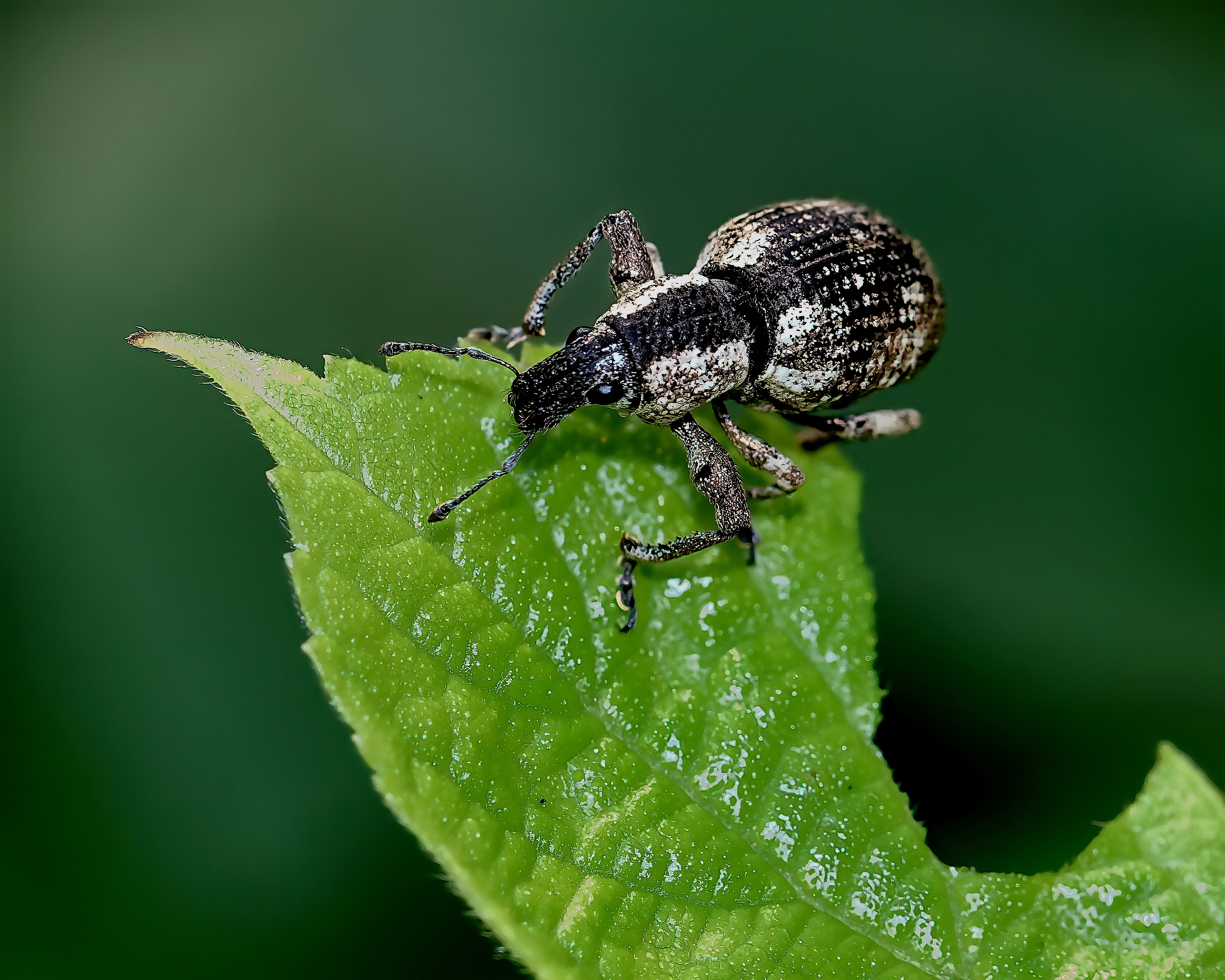 5D2A8424_-DeNoiseAI-clear.jpg