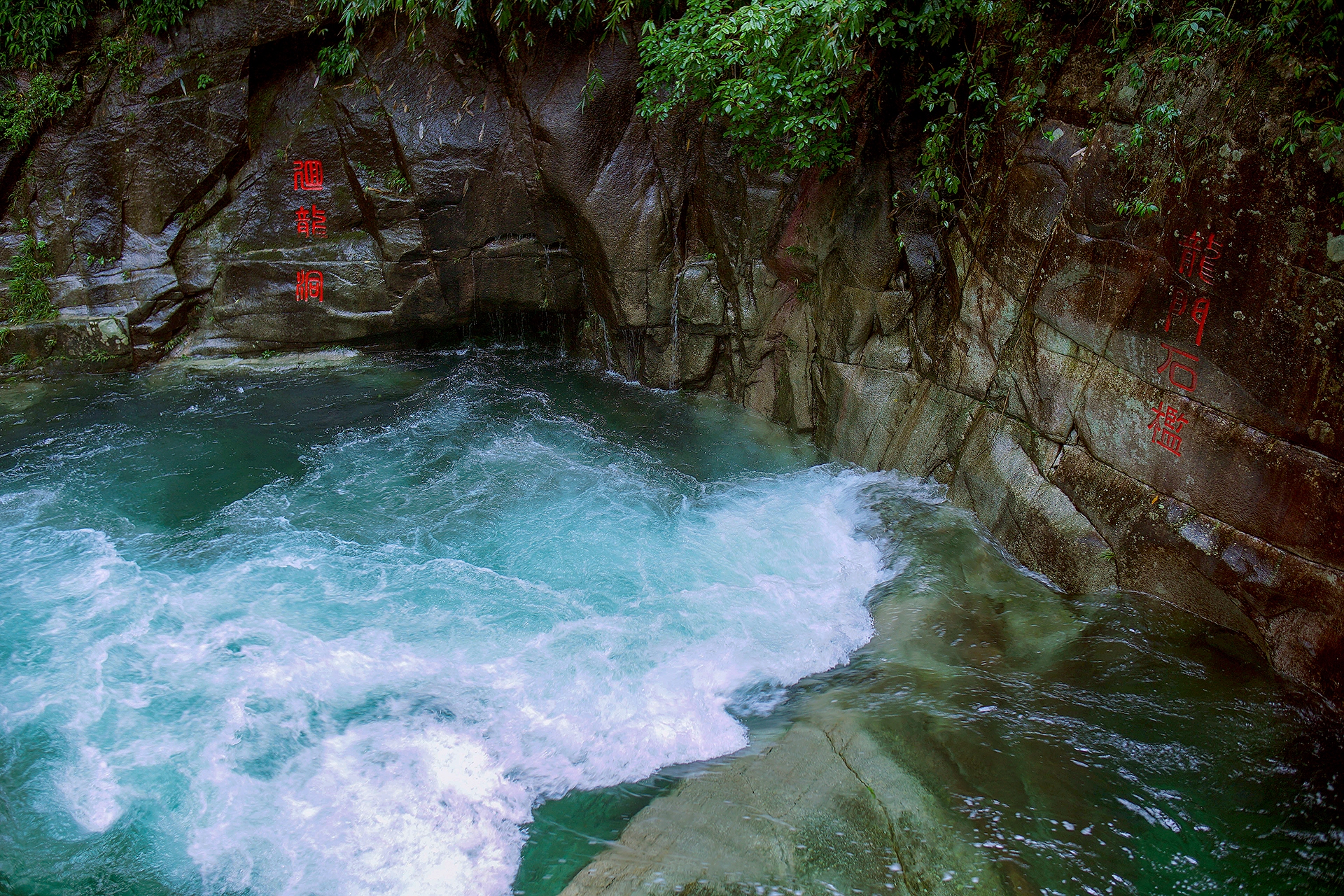 DSC00711.jpg