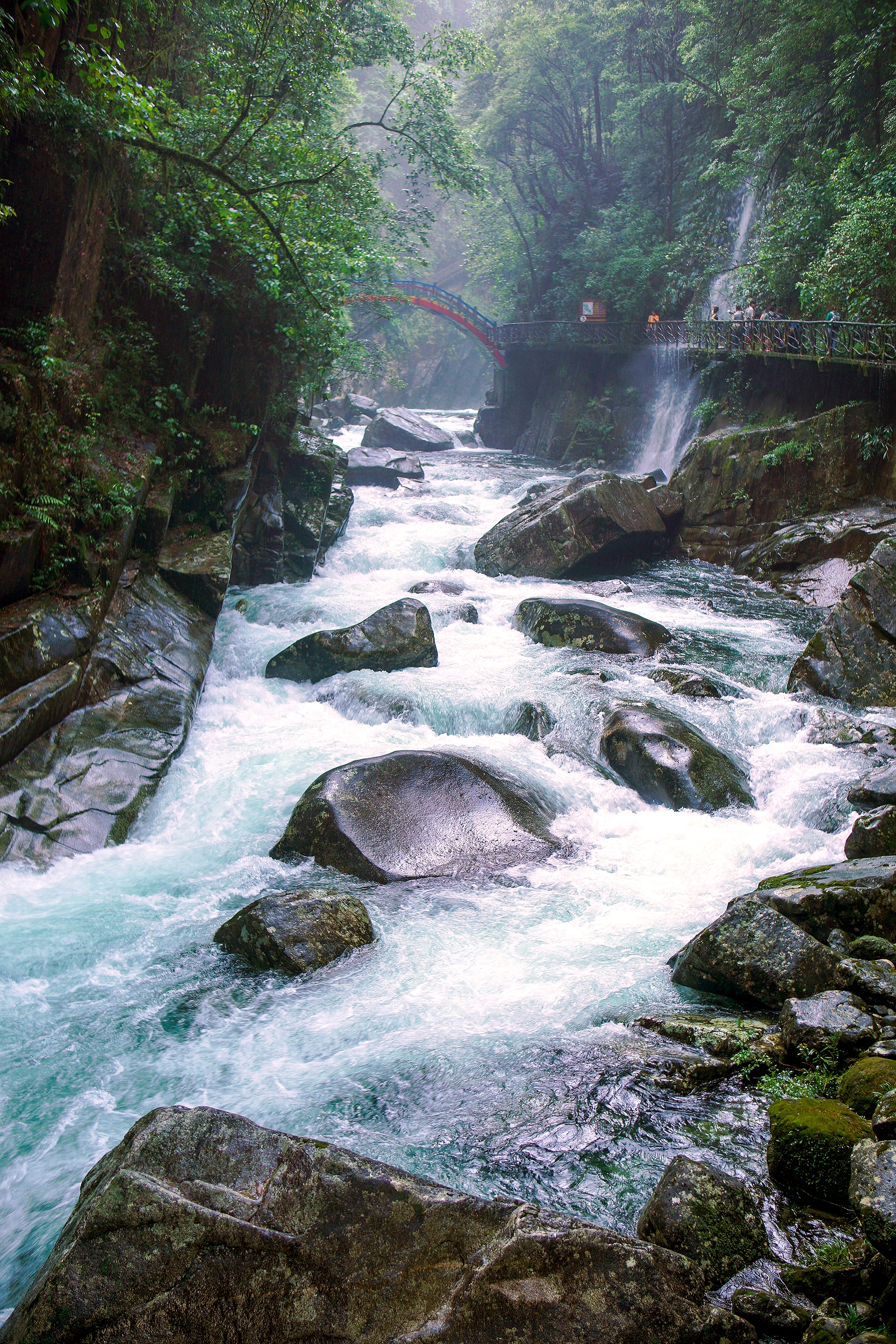 DSC00726.jpg