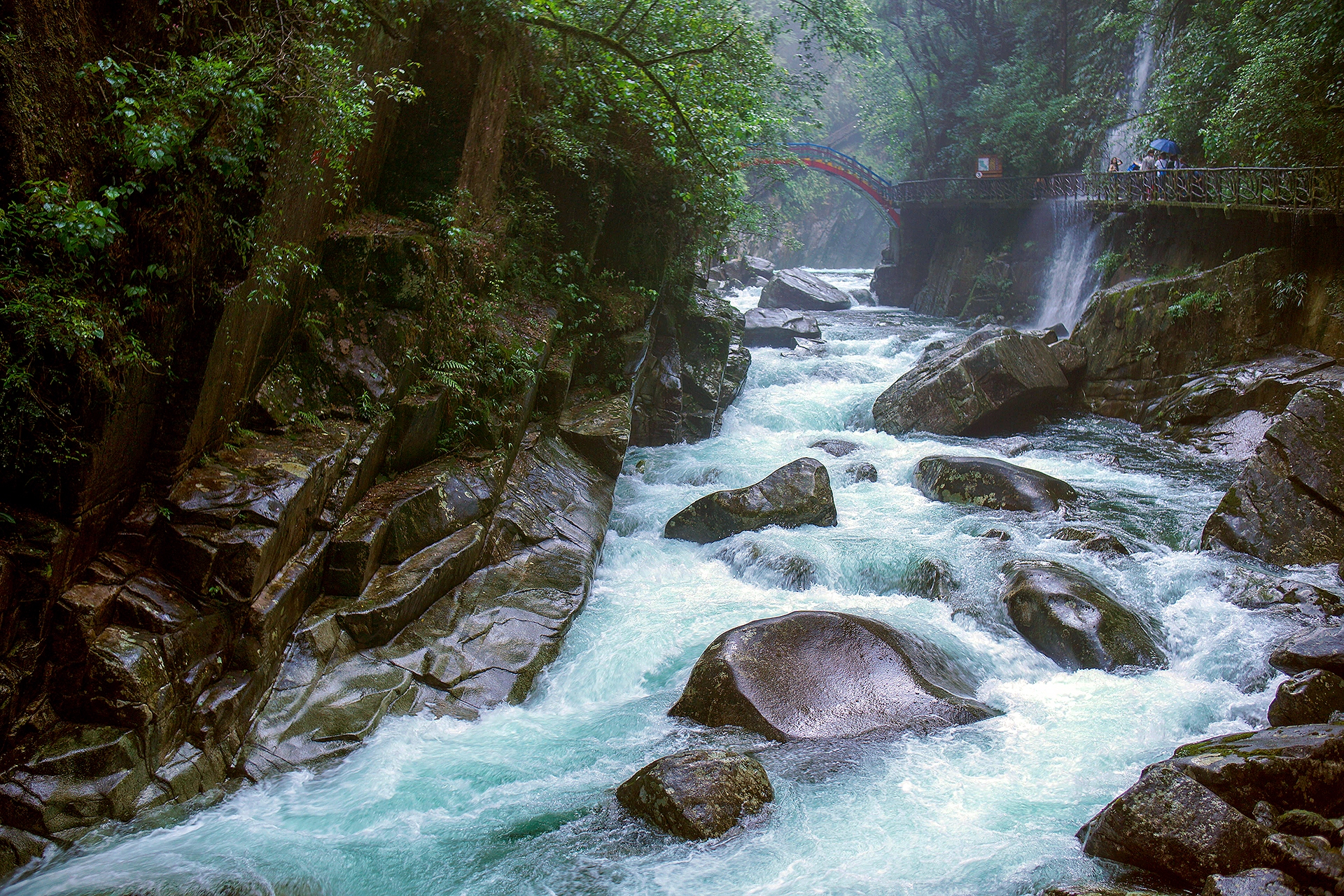 DSC00729.jpg