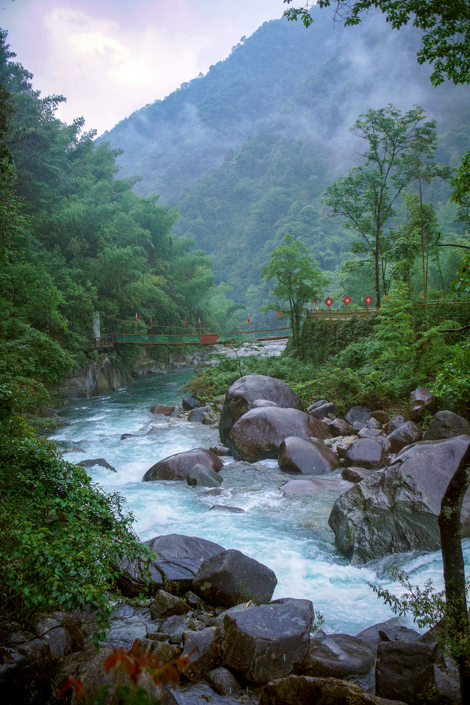 DSC01041.jpg