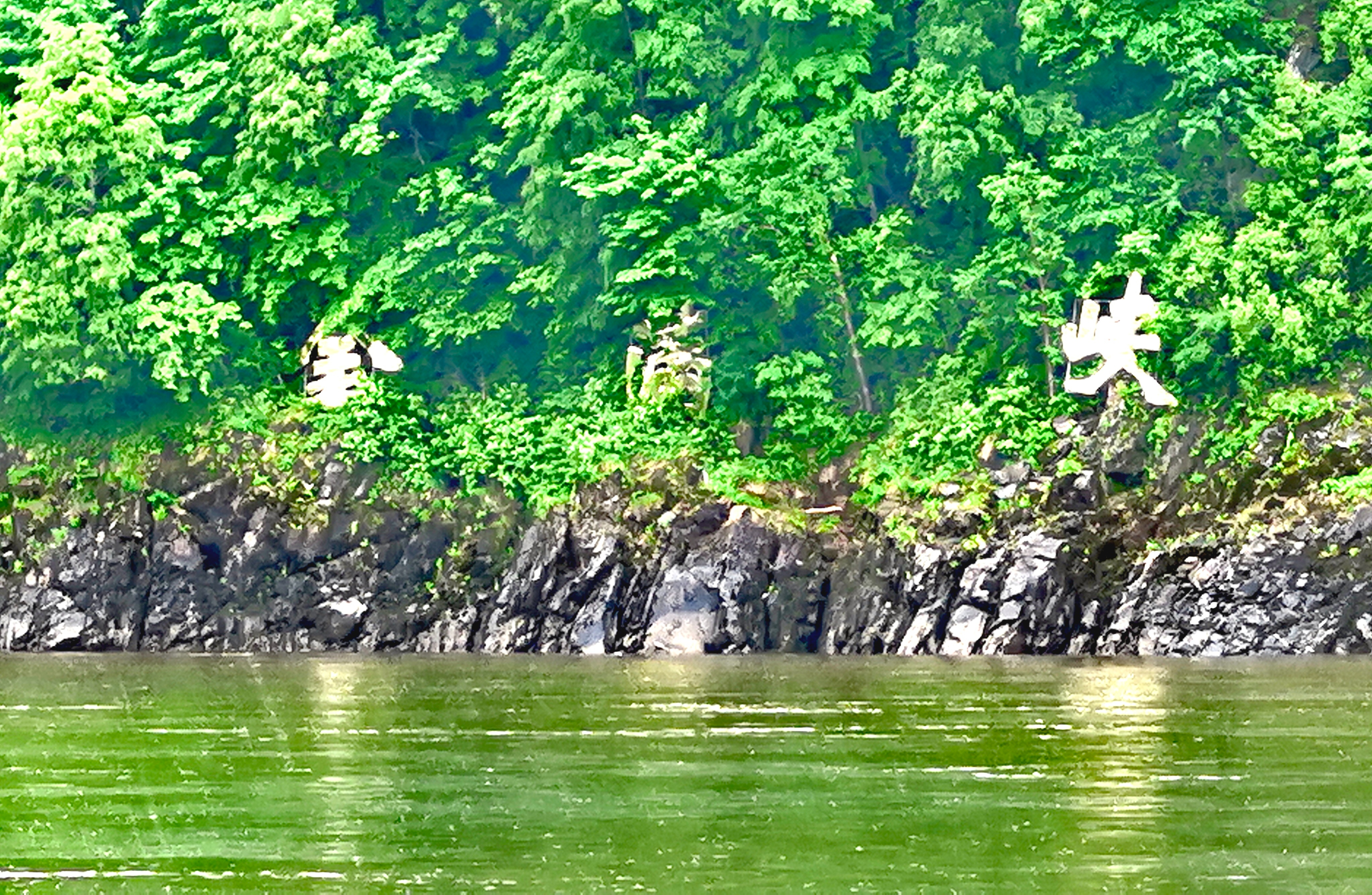 IMG_20250608_095457_edit_14378631406138.jpg