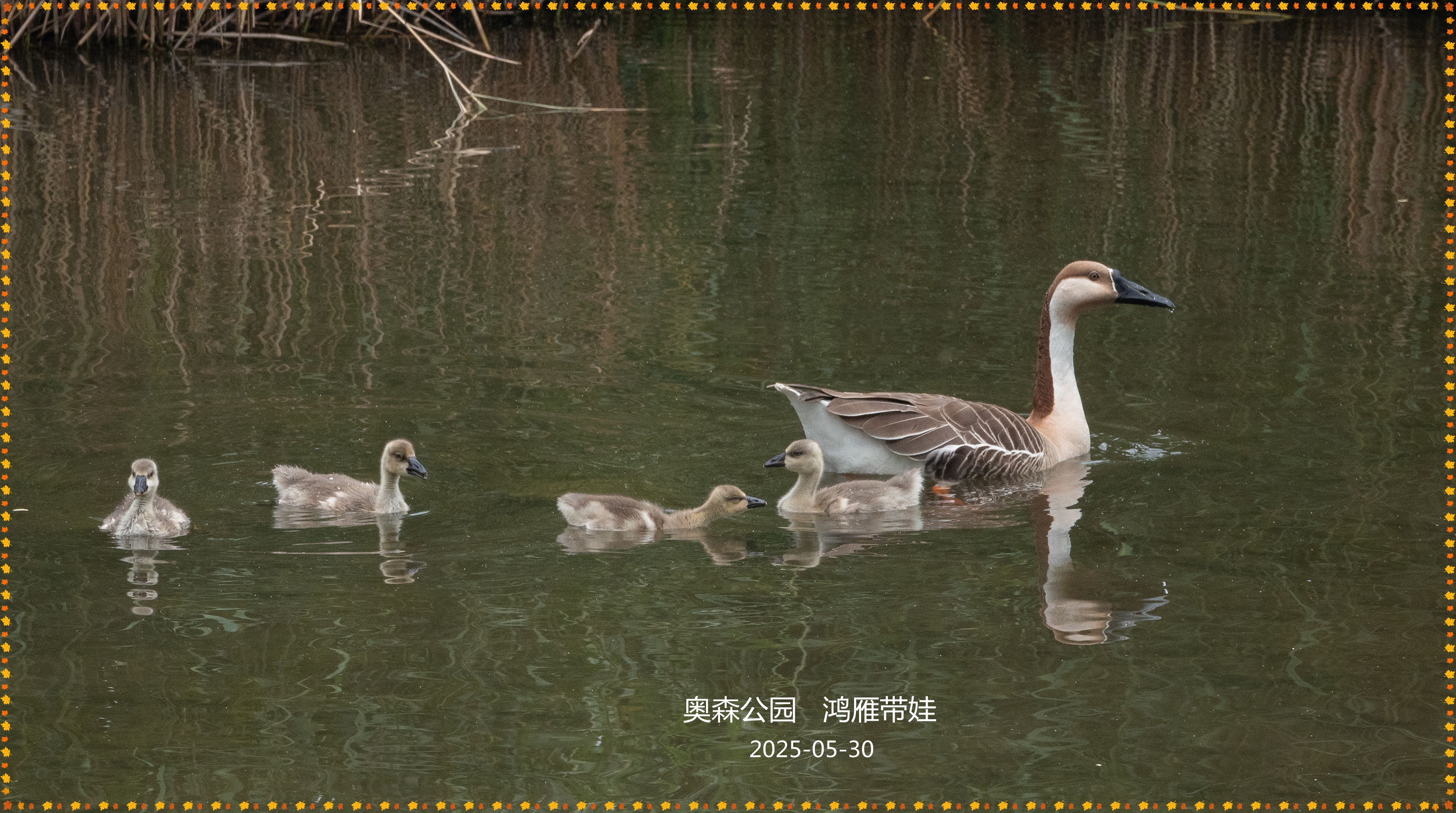 DSC05346_.jpg