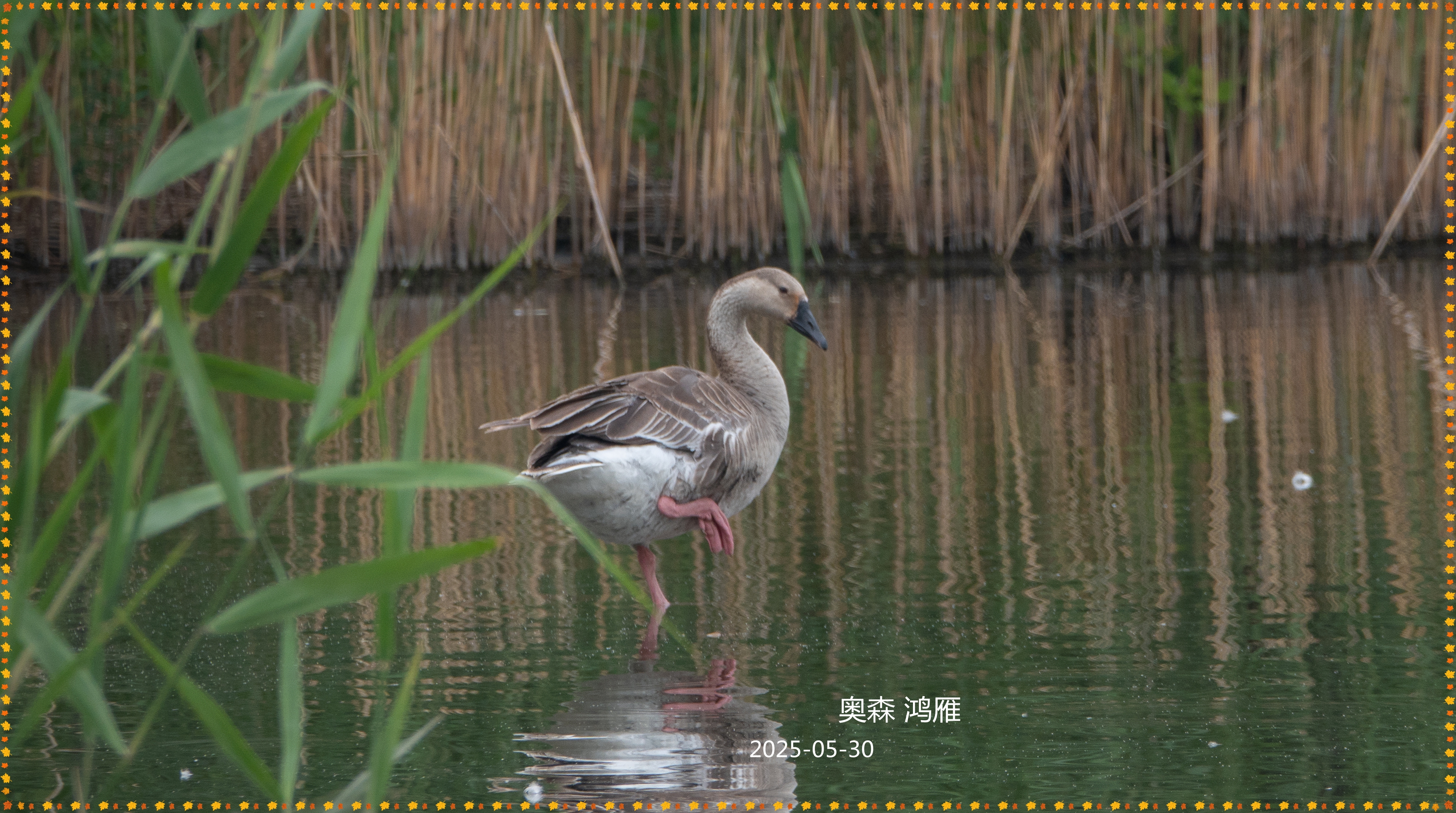 DSC05173_.jpg