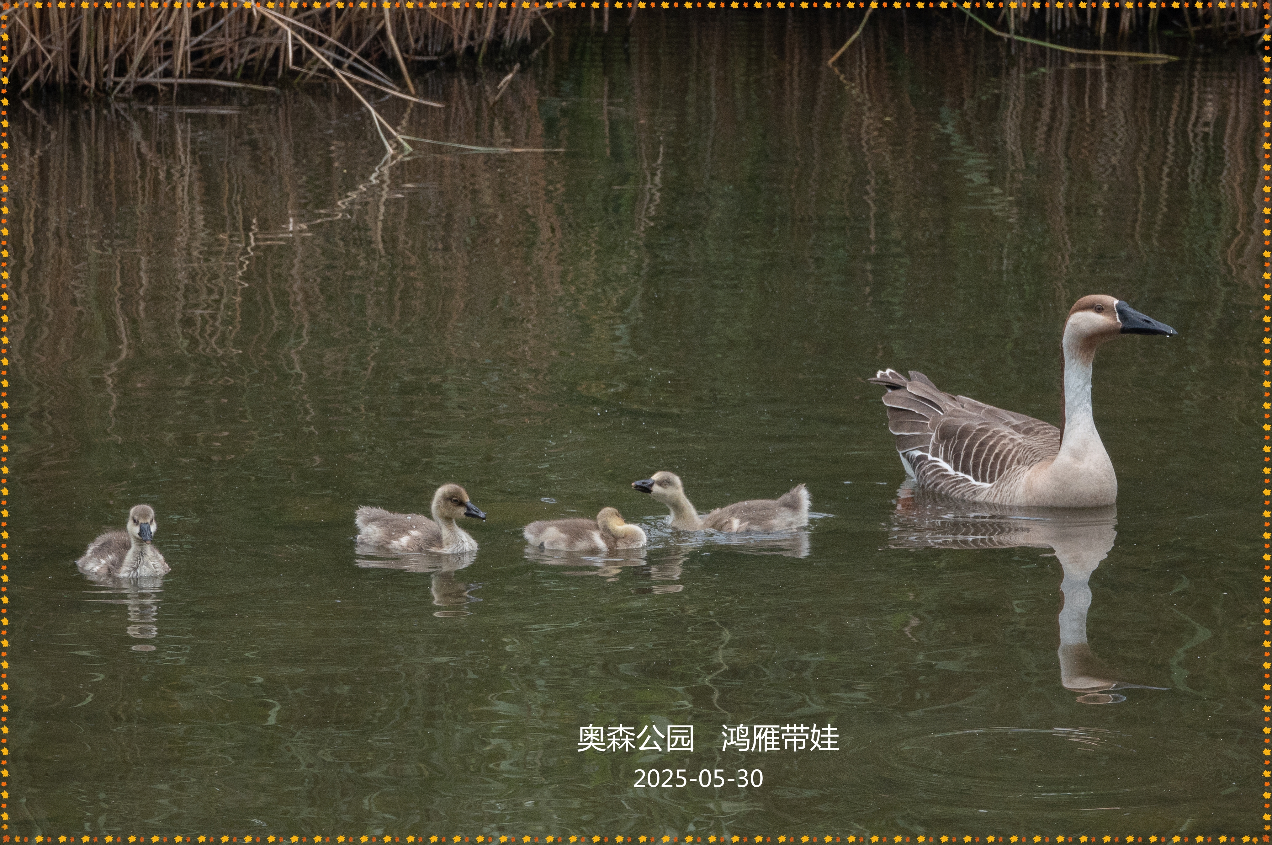 DSC05348_.jpg