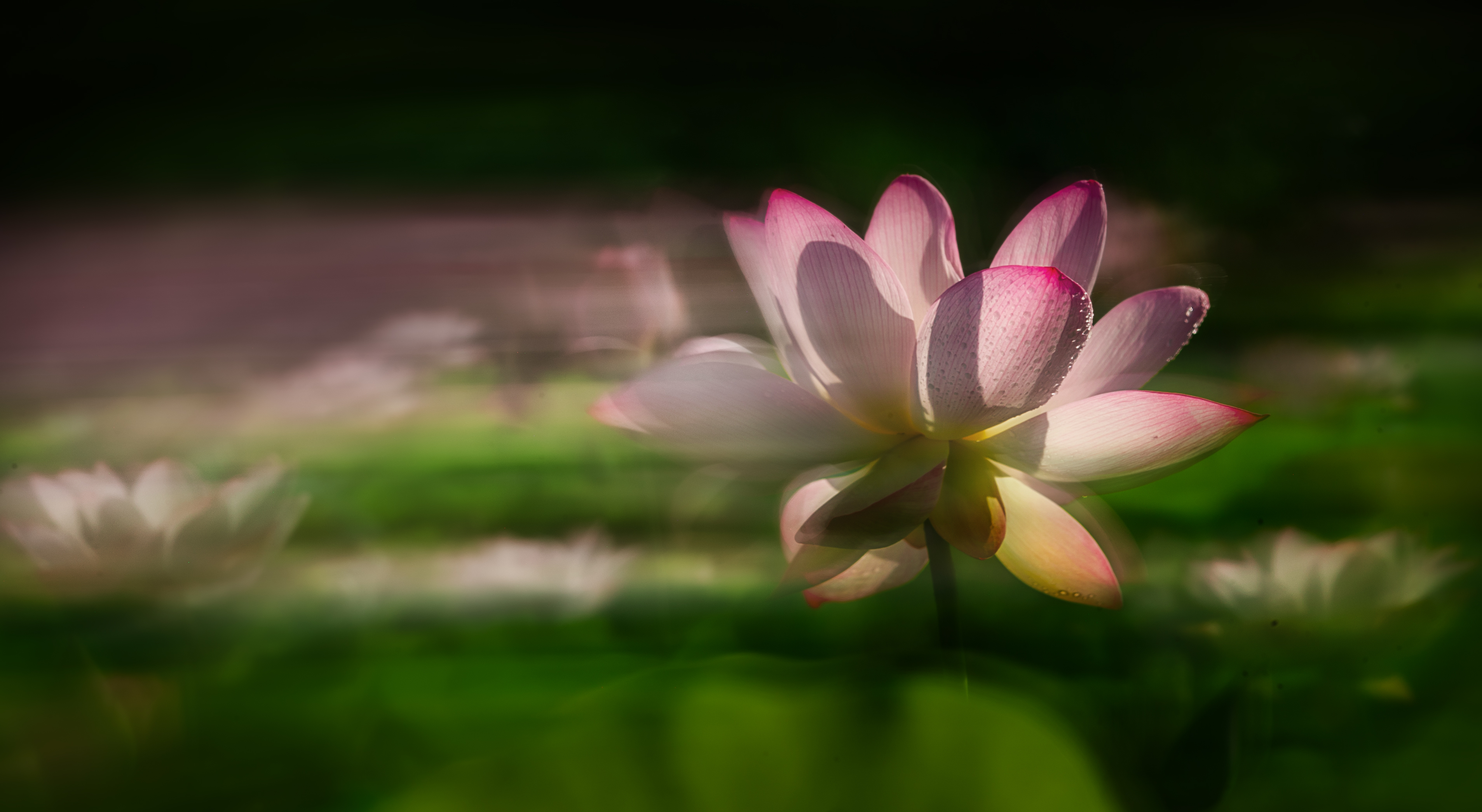 BG9I9991-p.jpg