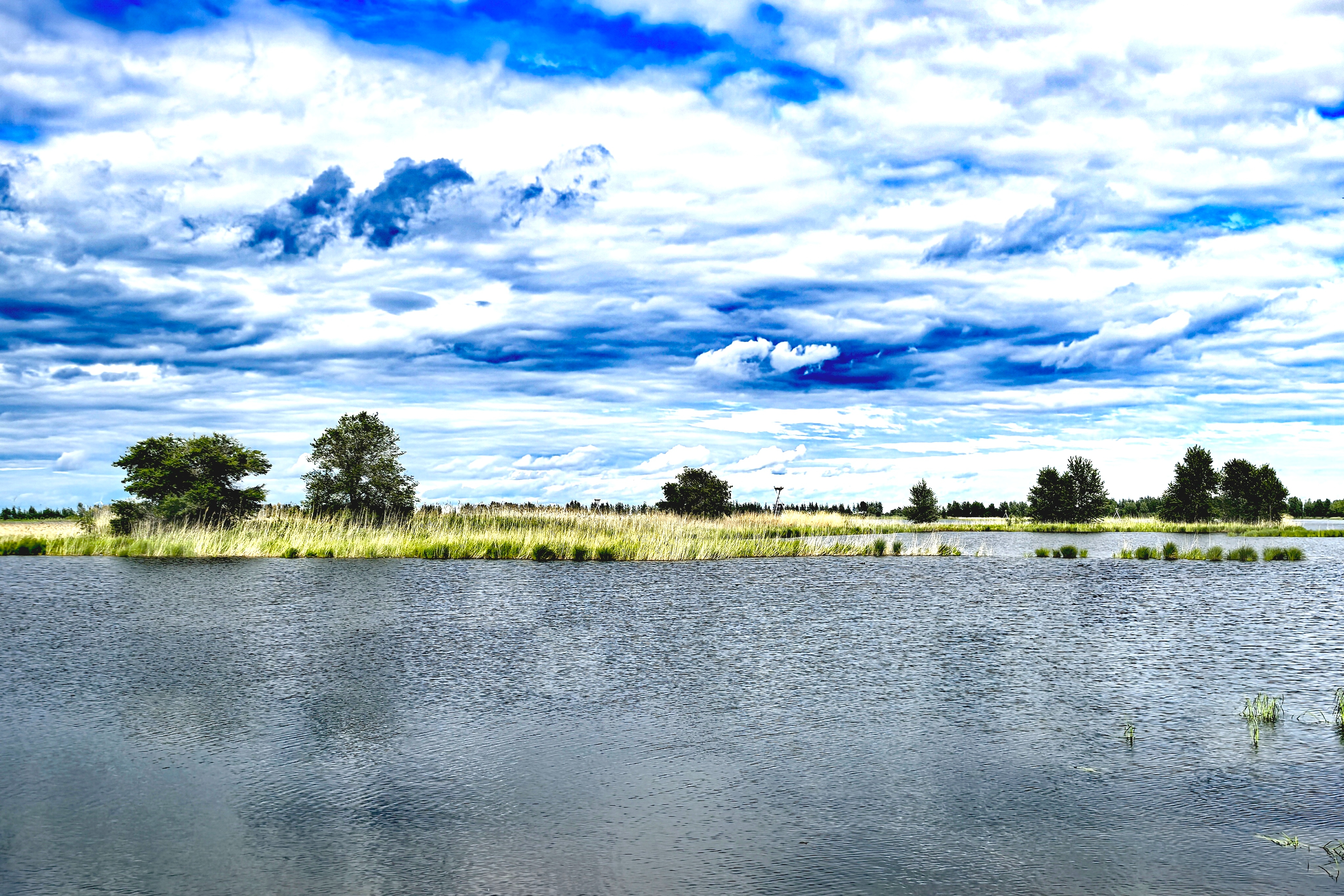 IMG_20250607_141118_edit_310391914527637.jpg
