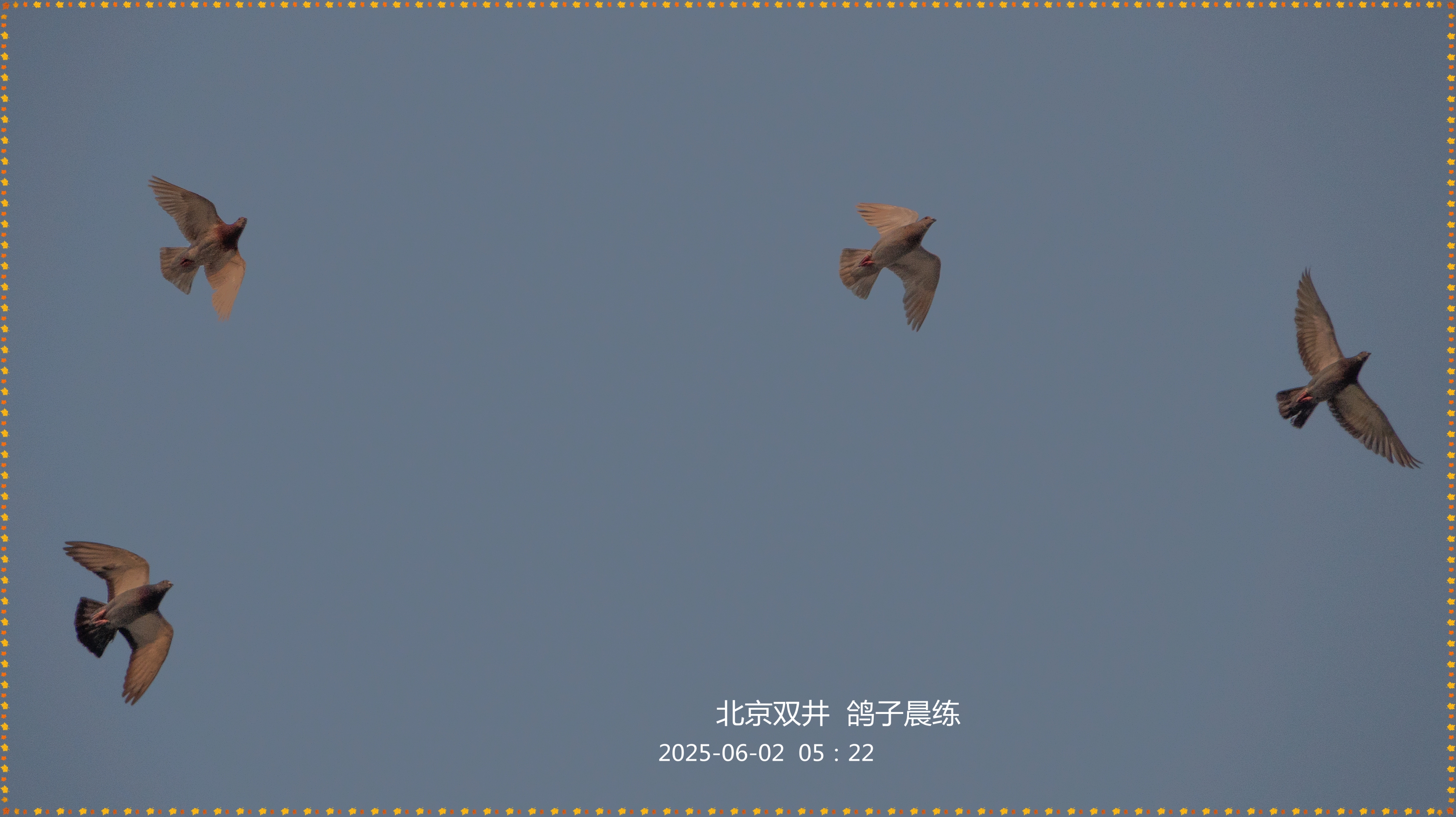 DSC06273_.jpg