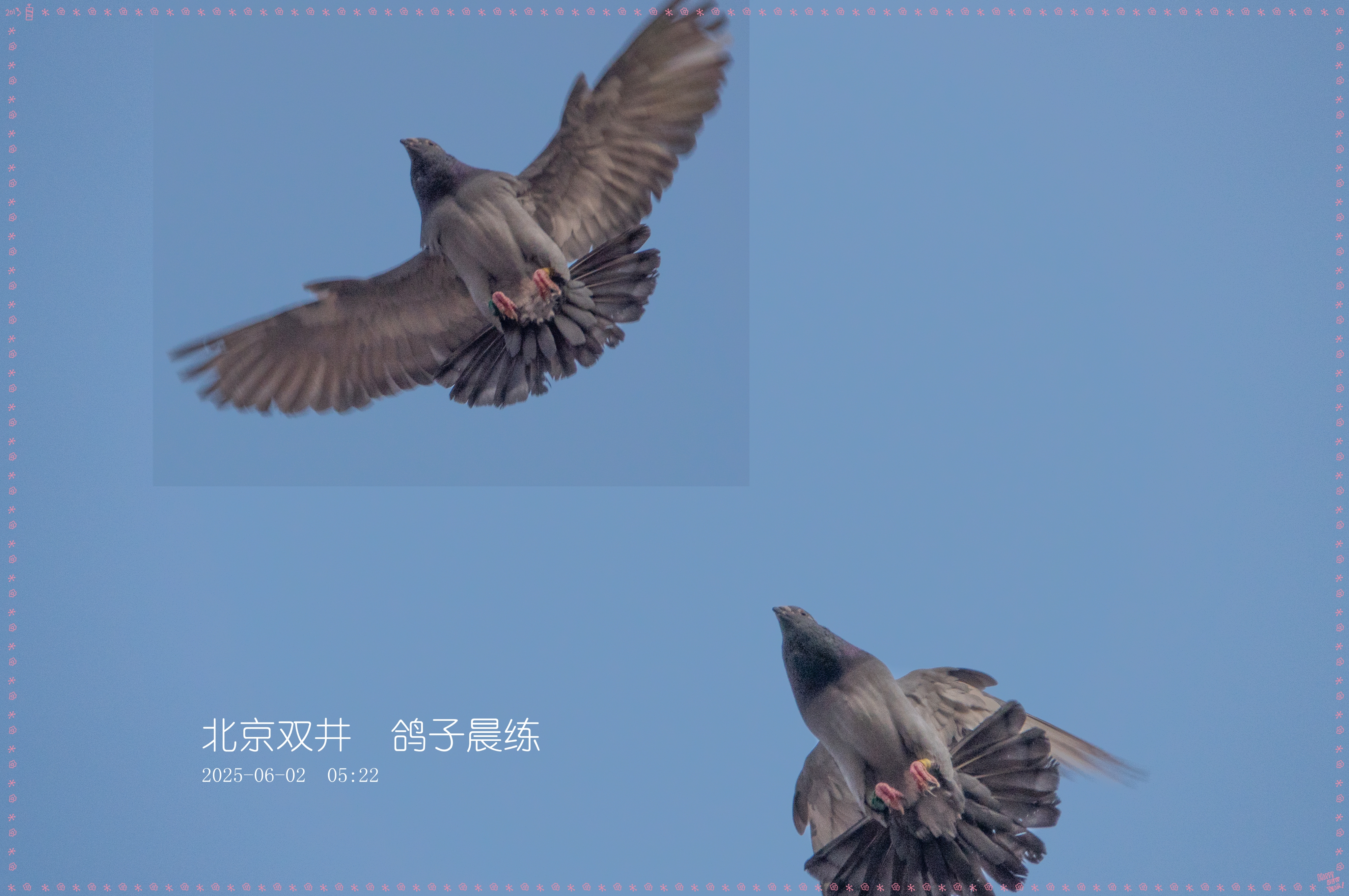 DSC06285_.jpg
