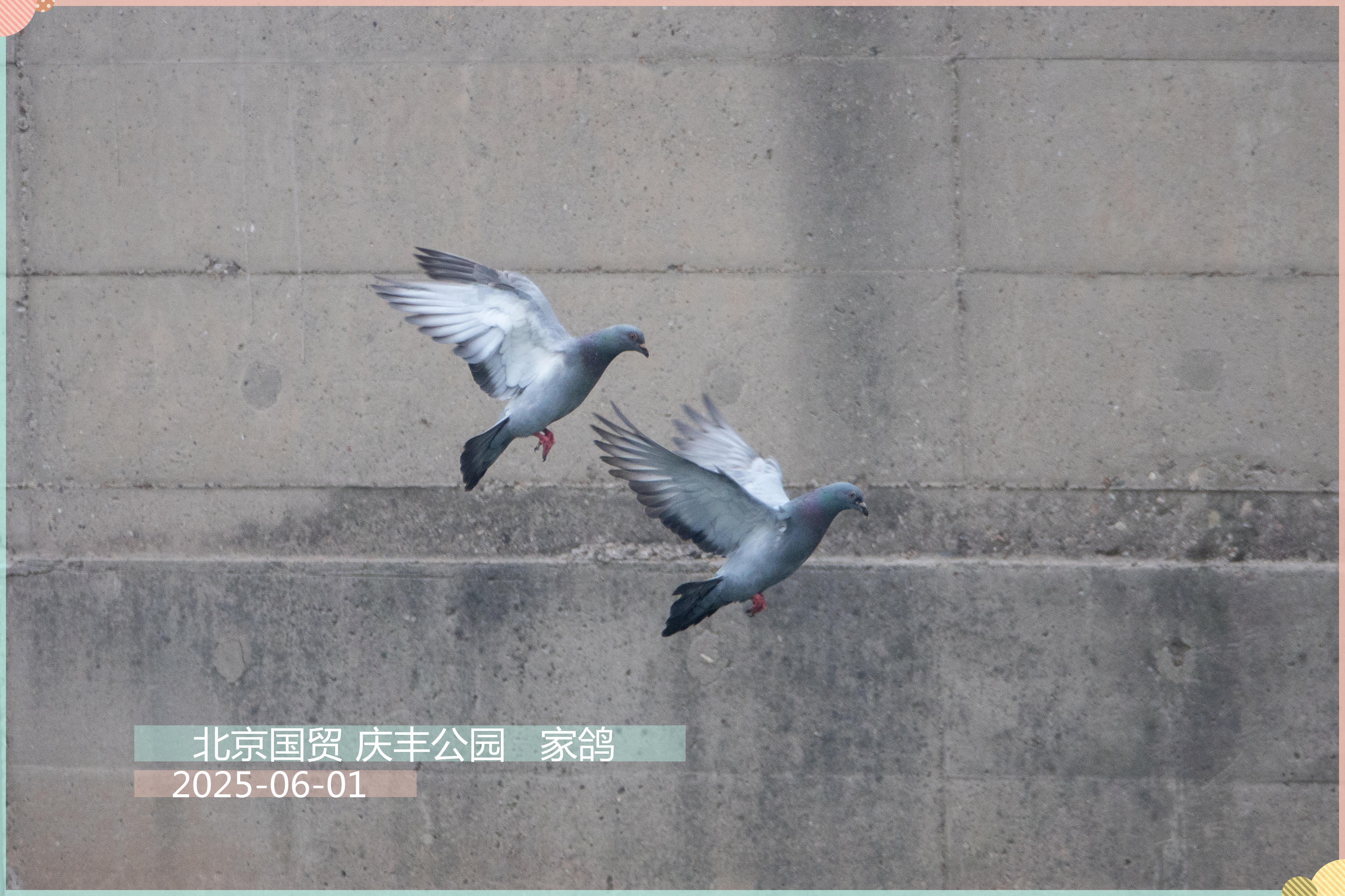 DSC06206_.jpg