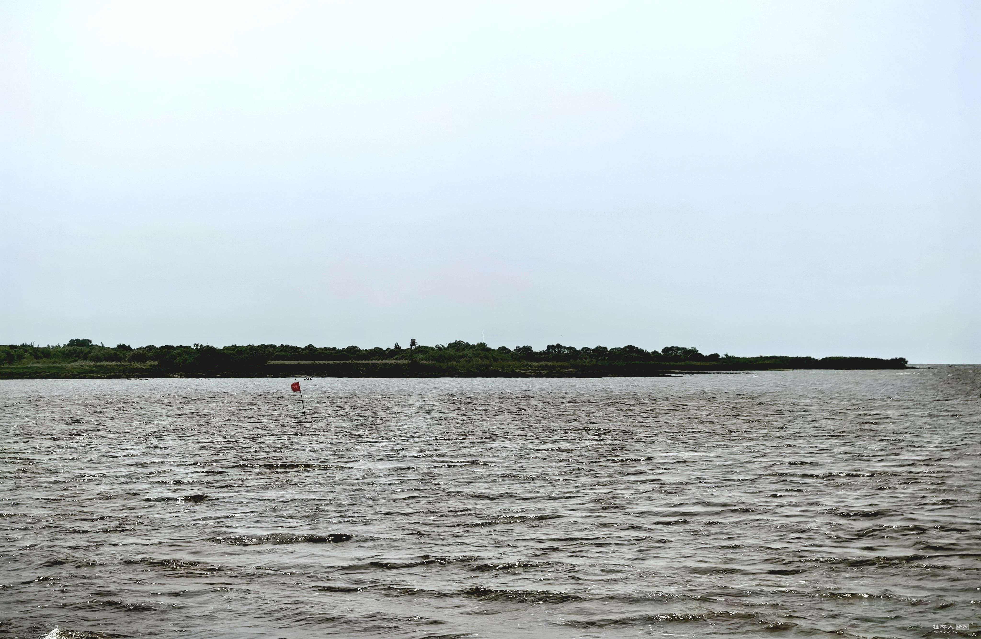 IMG_20250601_111114_edit_77138980416874.jpg