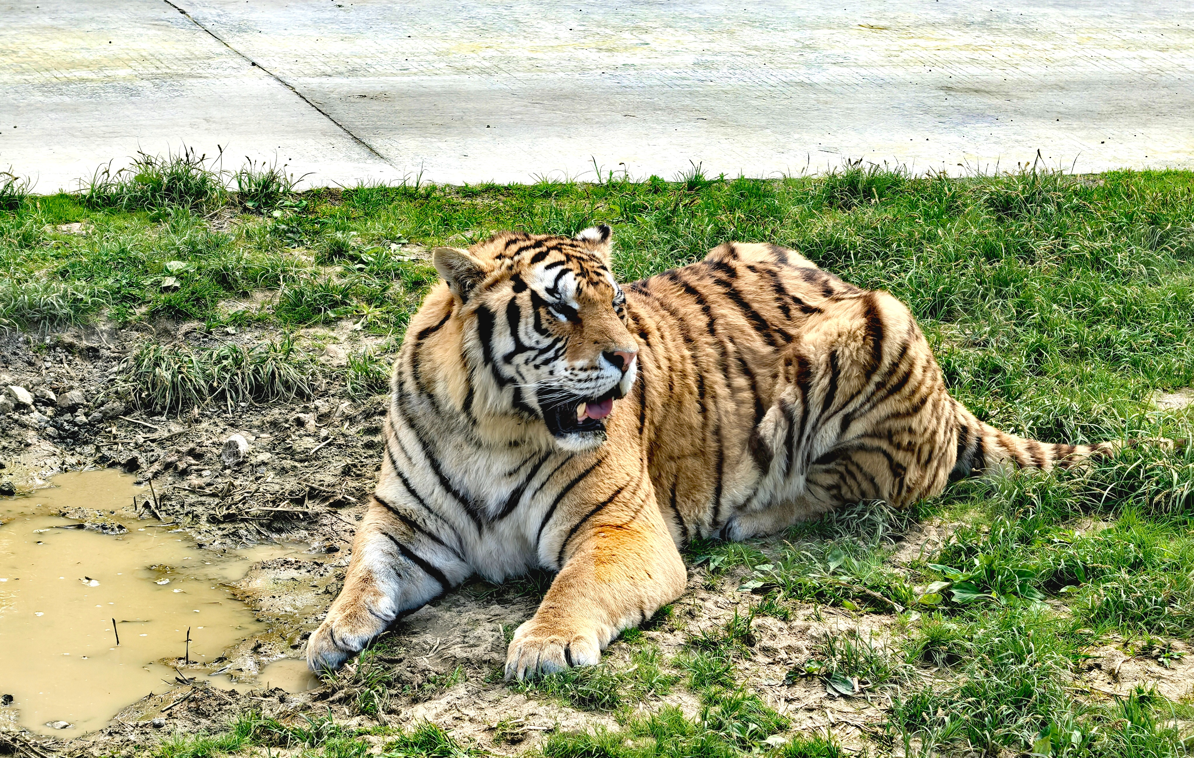 IMG_20250526_141147_edit_161861674746134.jpg