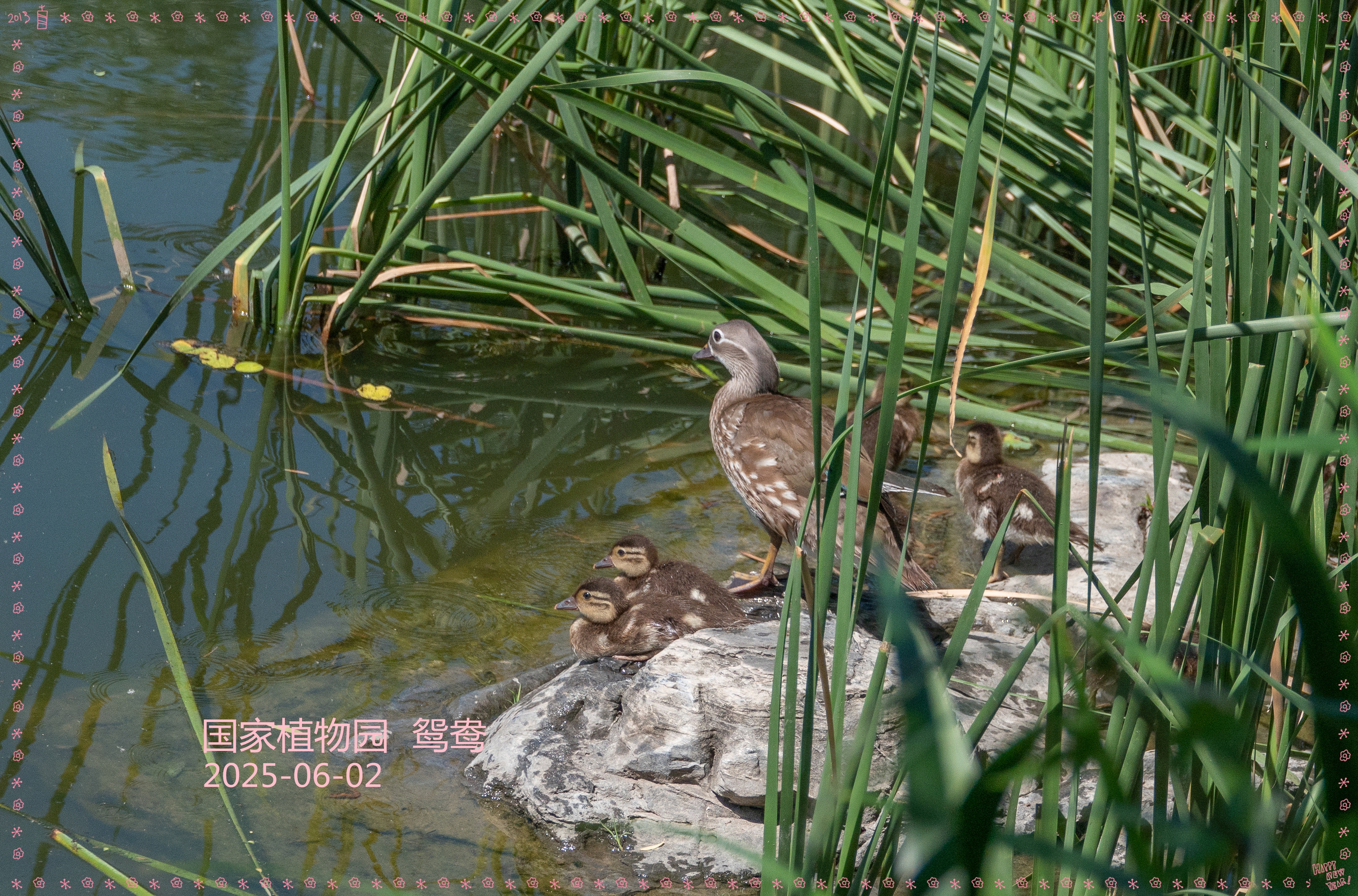DSC06637__.jpg