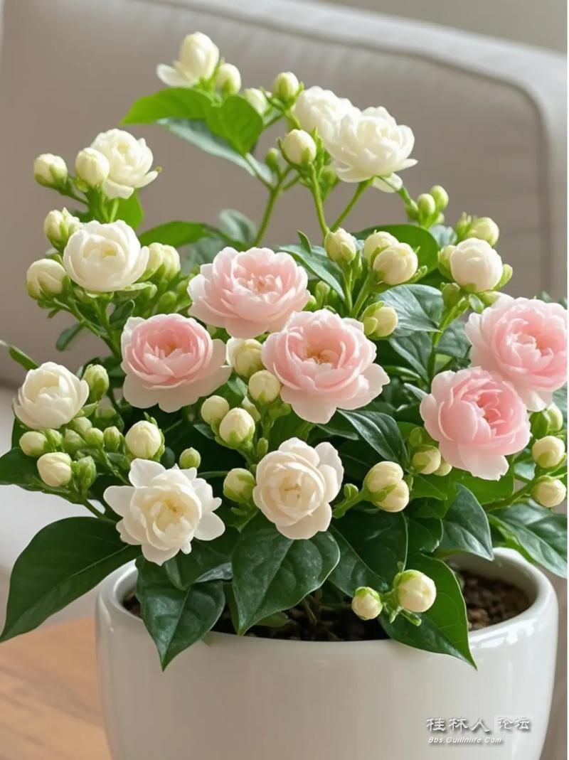 u=1574277987,4133796699&fm=253&app=138&f=JPEG.jpg