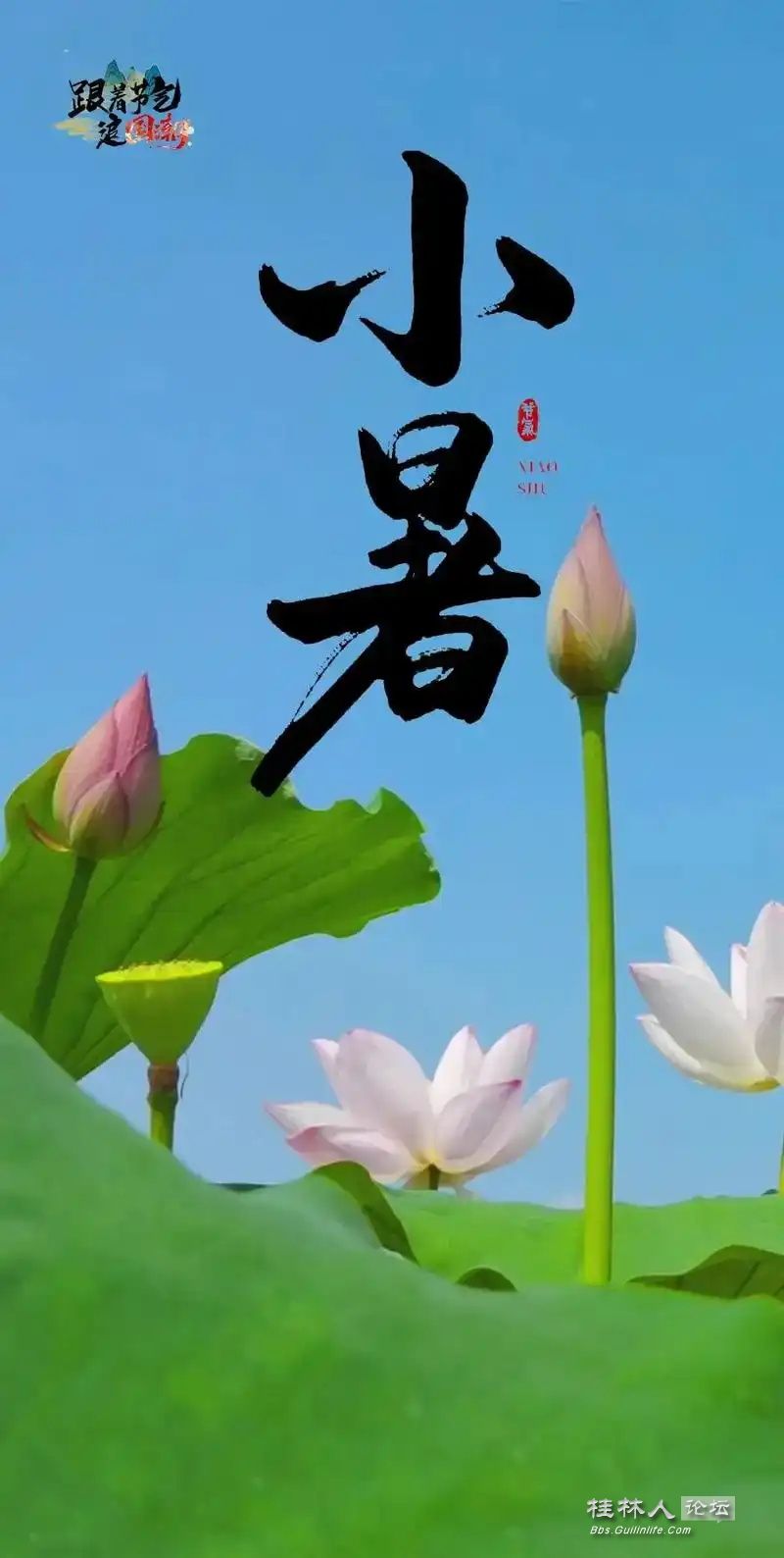 u=45024465,2478883923&fm=253&fmt=auto&app=138&f=JPEG_ͼ.jpg