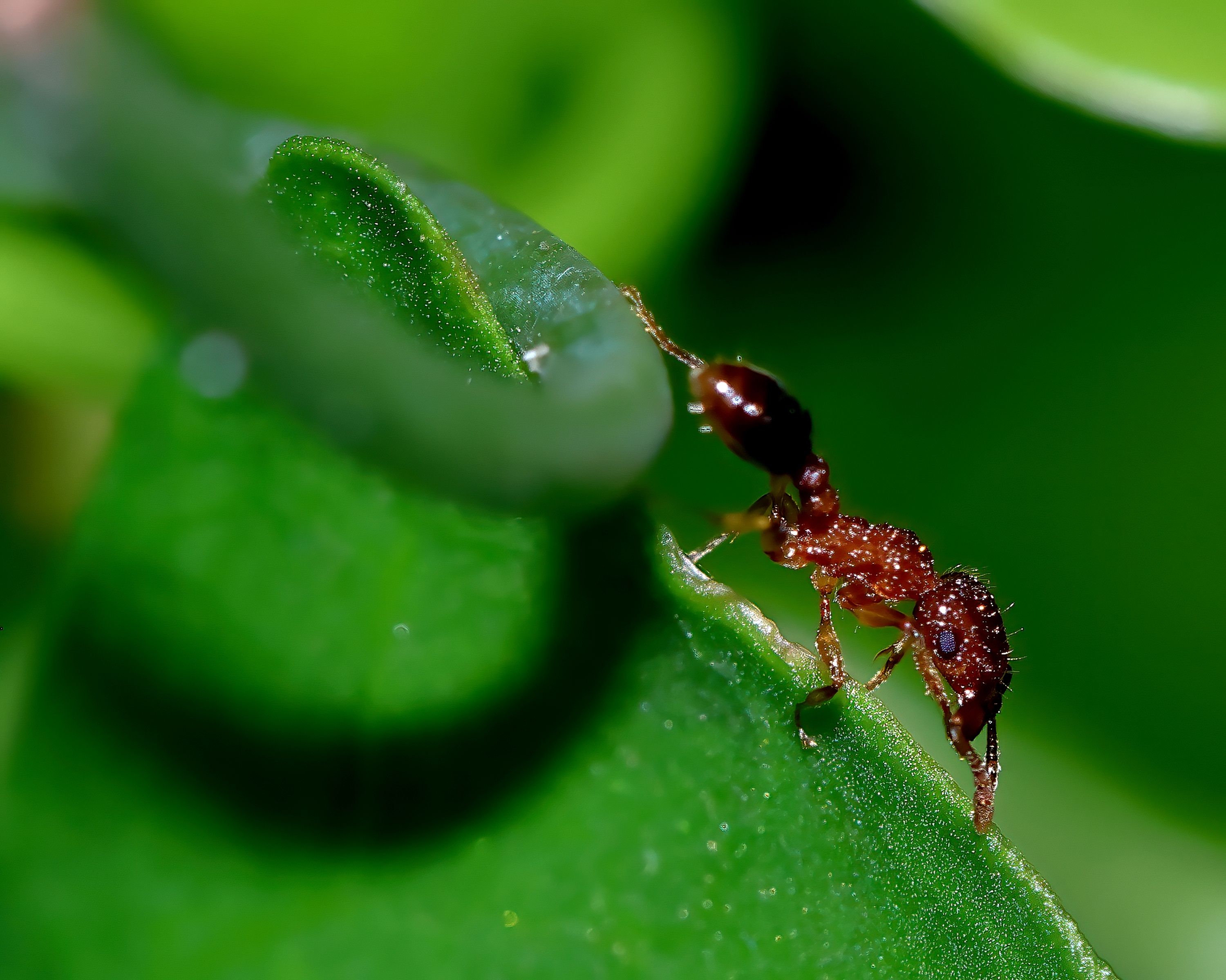 5D2A0462_-DeNoiseAI-clear.jpg
