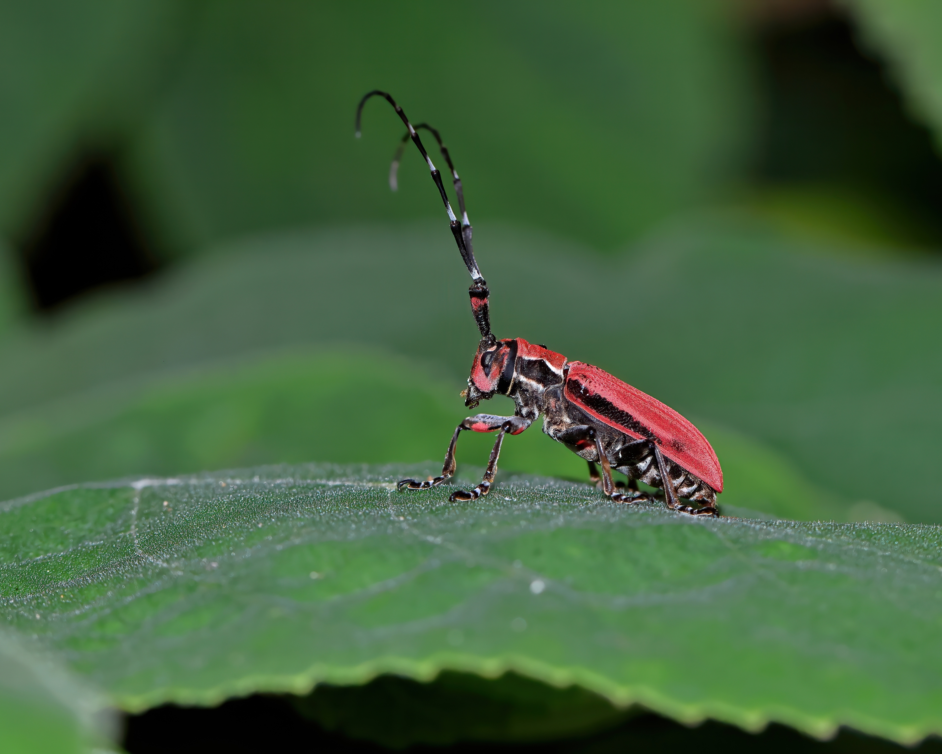 5D2A0513_-DeNoiseAI-clear.jpg