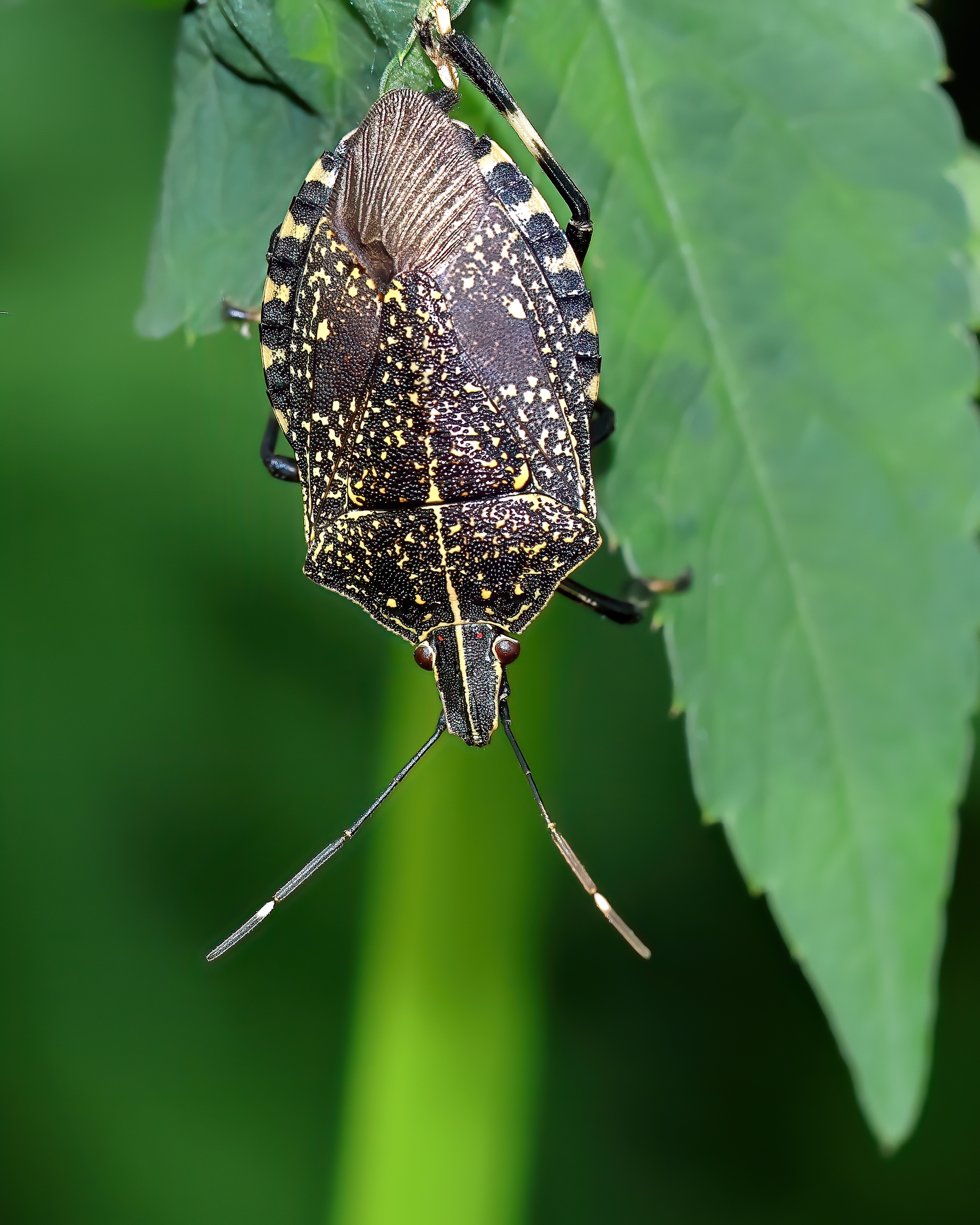 5D2A0839-DeNoiseAI-clear.jpg
