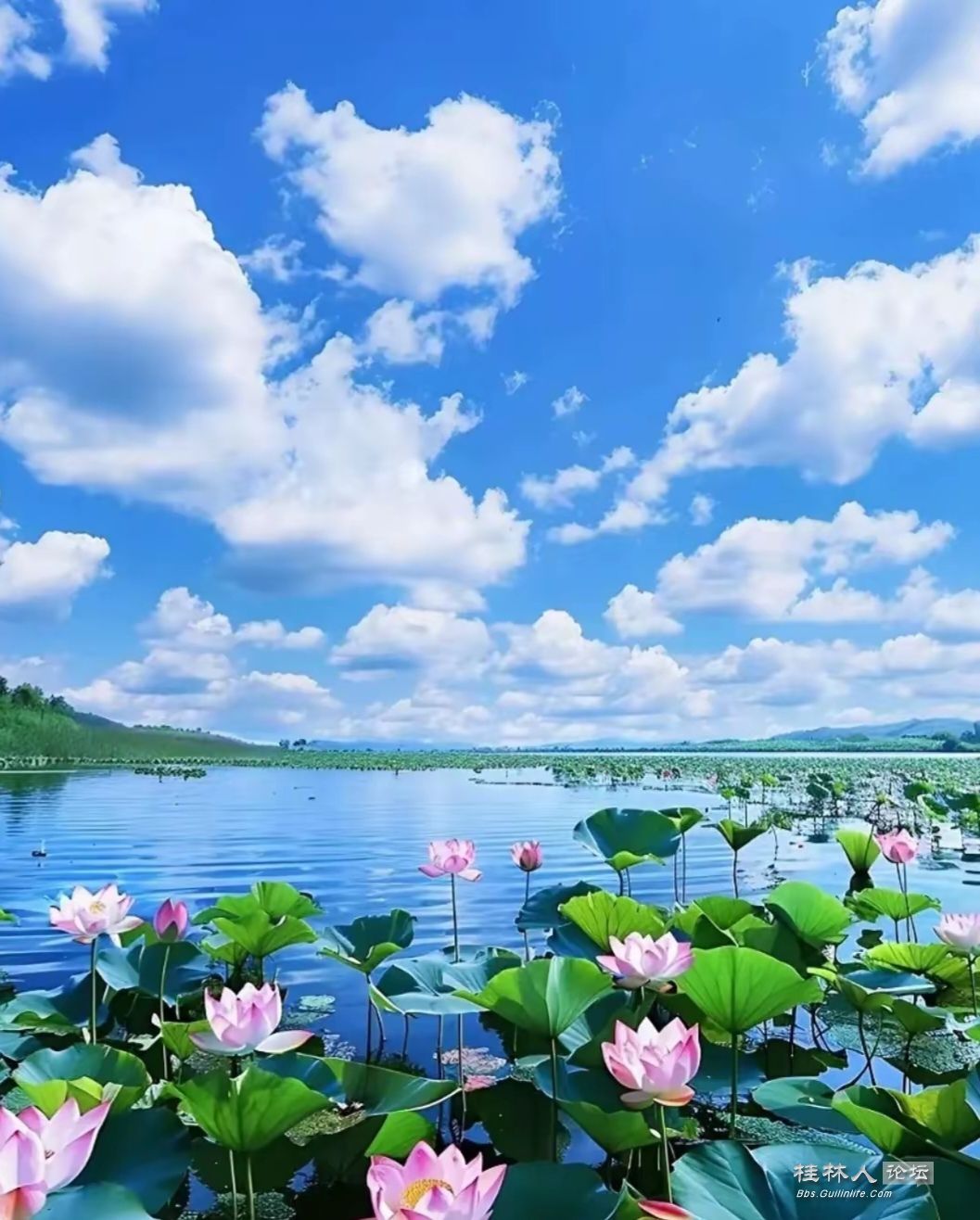 IQfwAbXrGdBRX8q8X-h5Ww8e17b87d0ff2e41619a97f2f460868a6.jpg