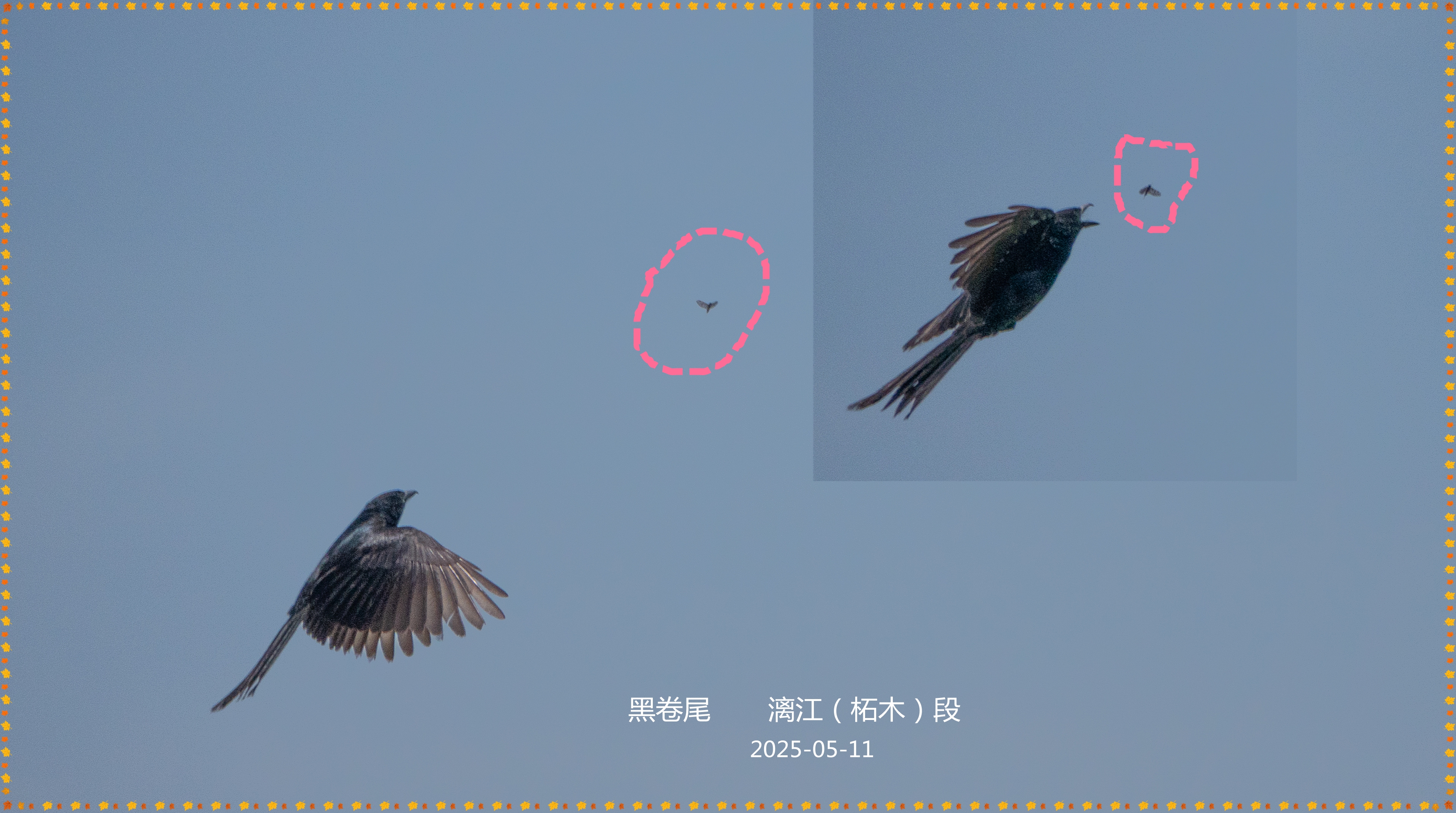 DSC02922_.jpg