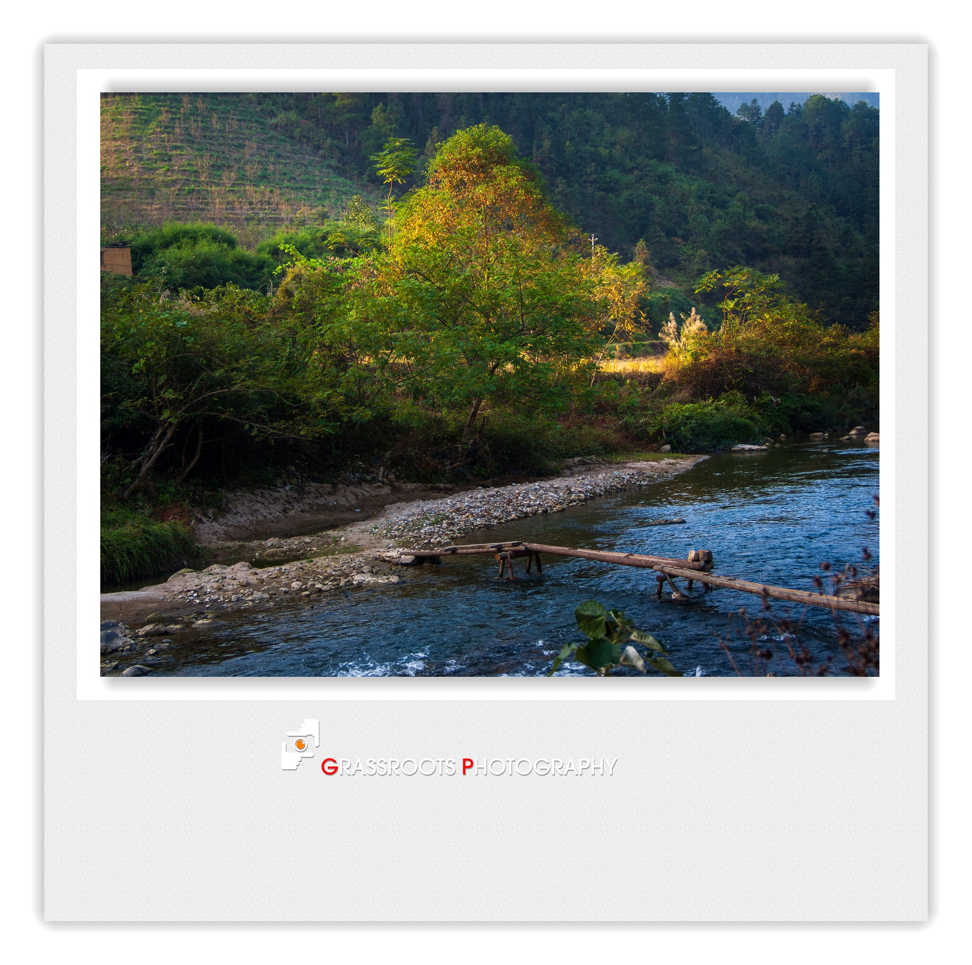 DSCF1608_.jpg