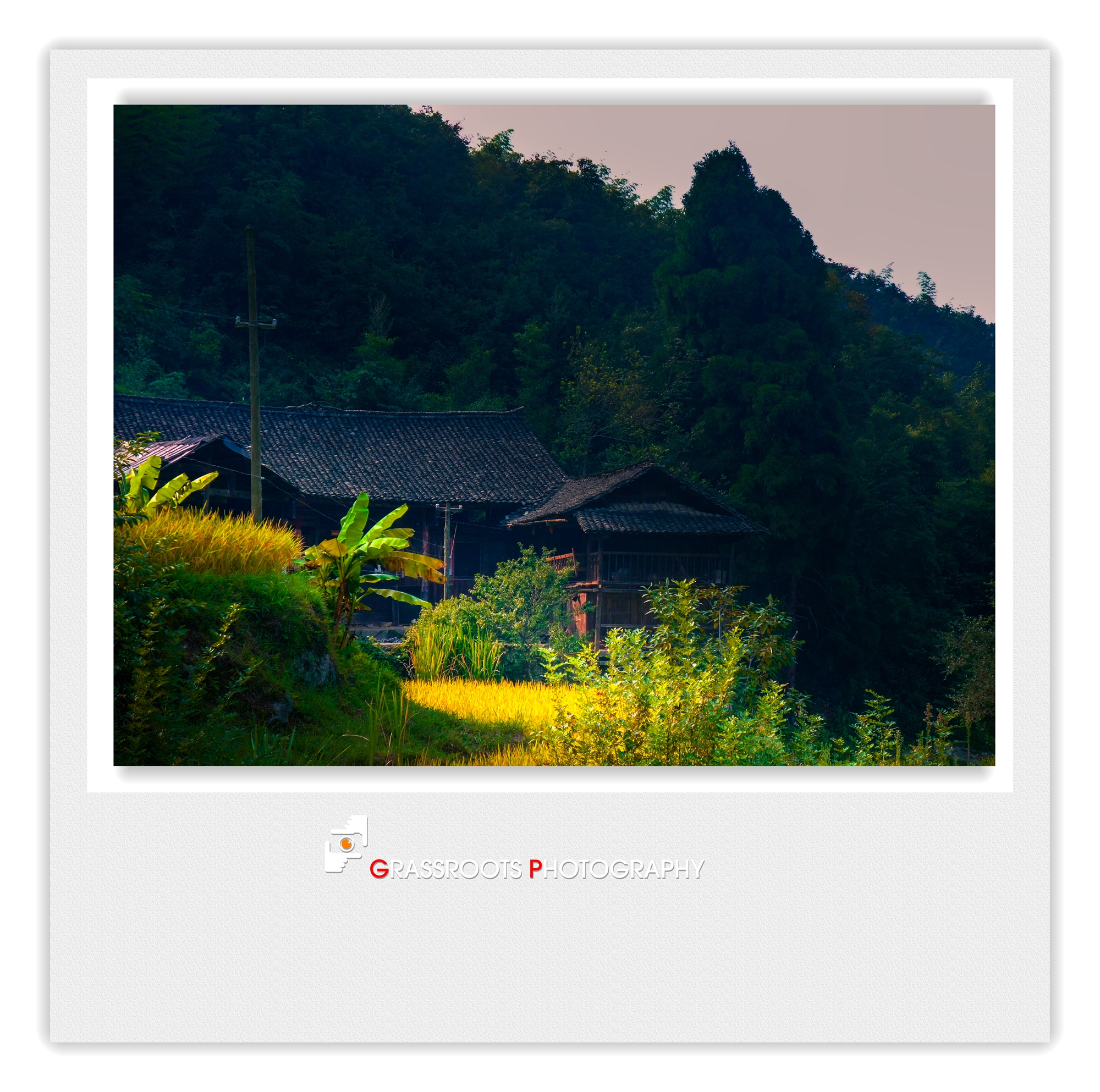 DSCF2571_.jpg