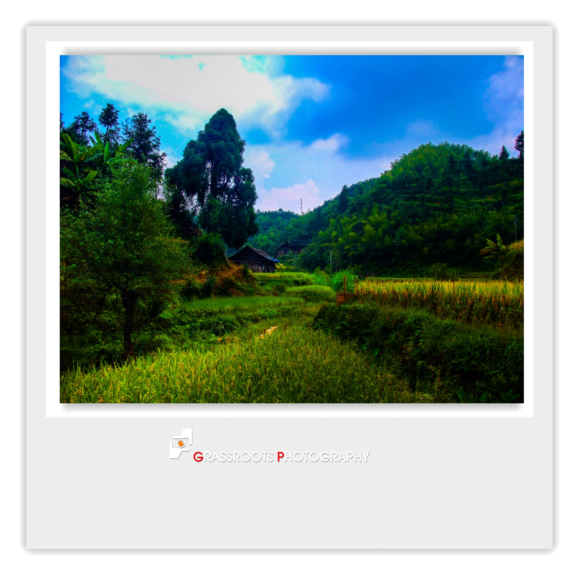 DSCF2552_.jpg