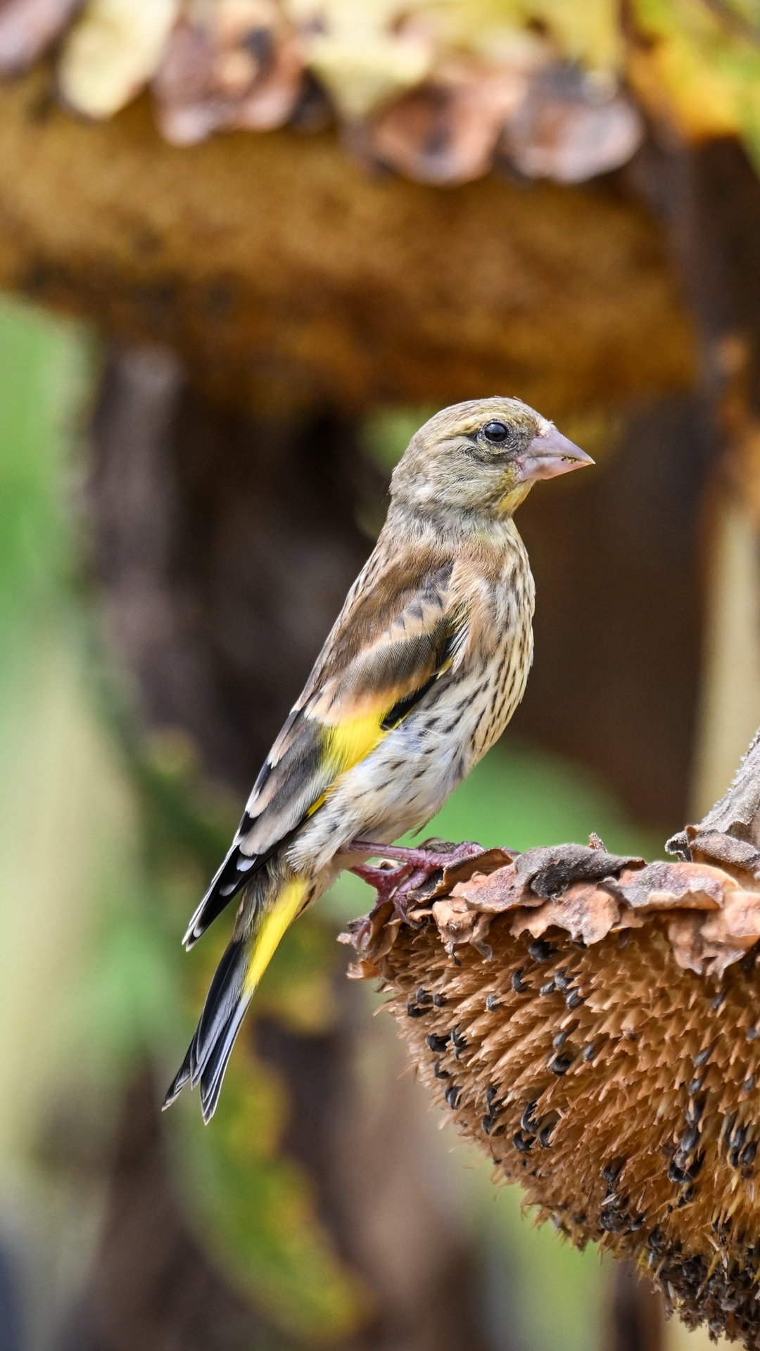 DSC_8601.jpg