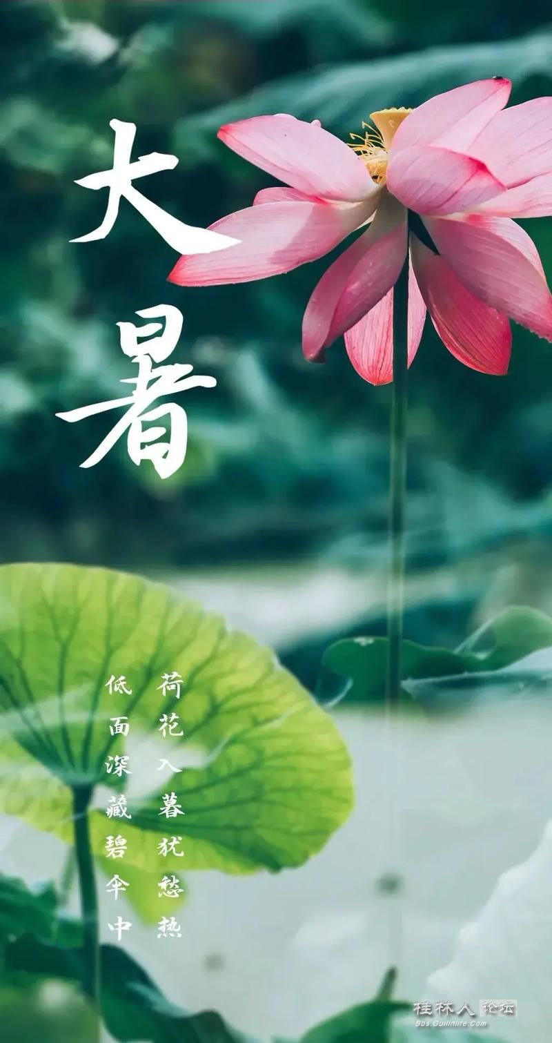 u=72010484,972012392&fm=253&app=138&f=JPEG.jpg