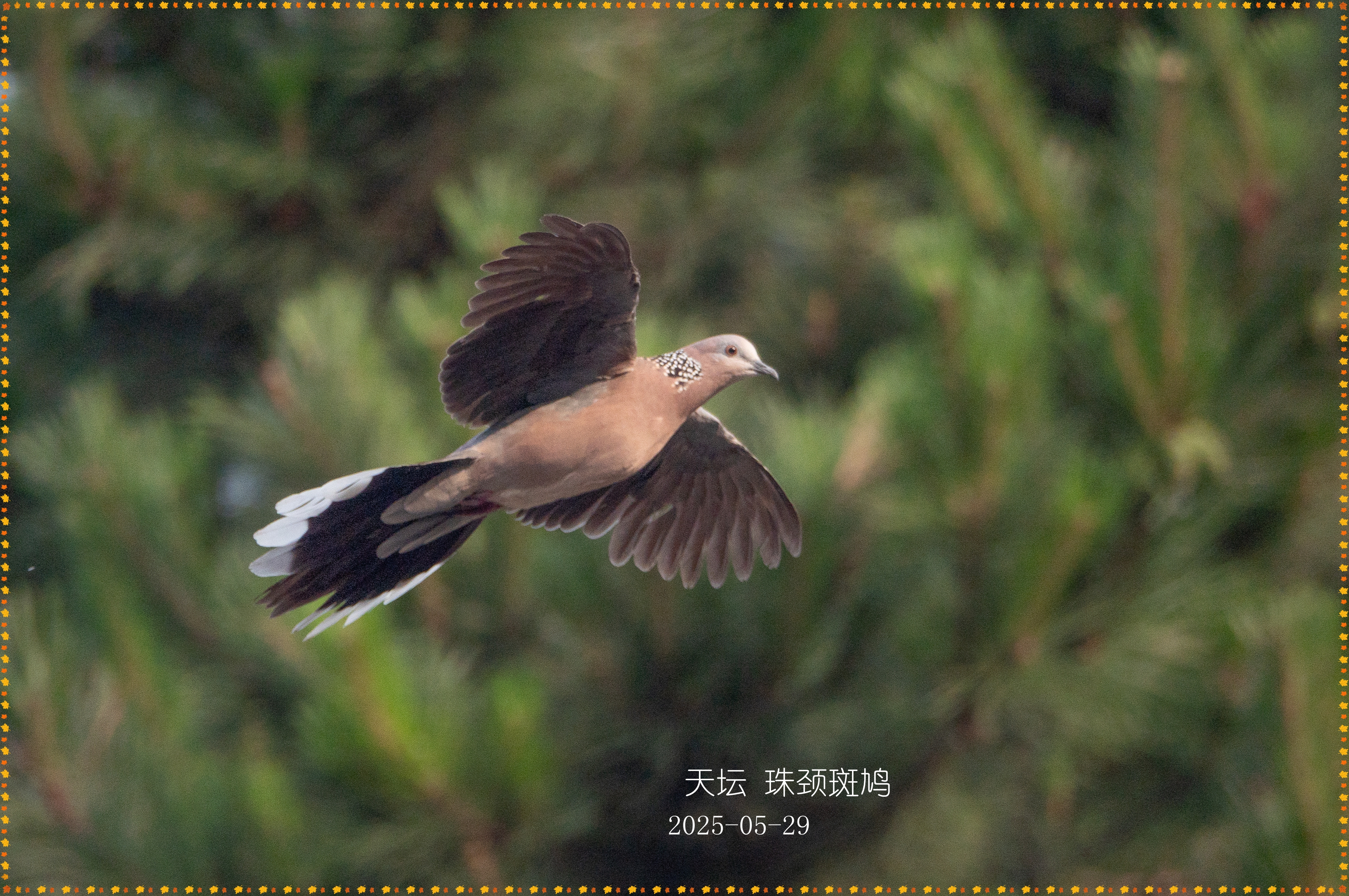 DSC04690_.jpg