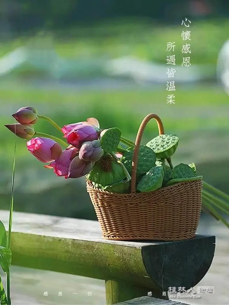 u=1320620686,1944428328&fm=253&app=138&f=JPEG.jpg