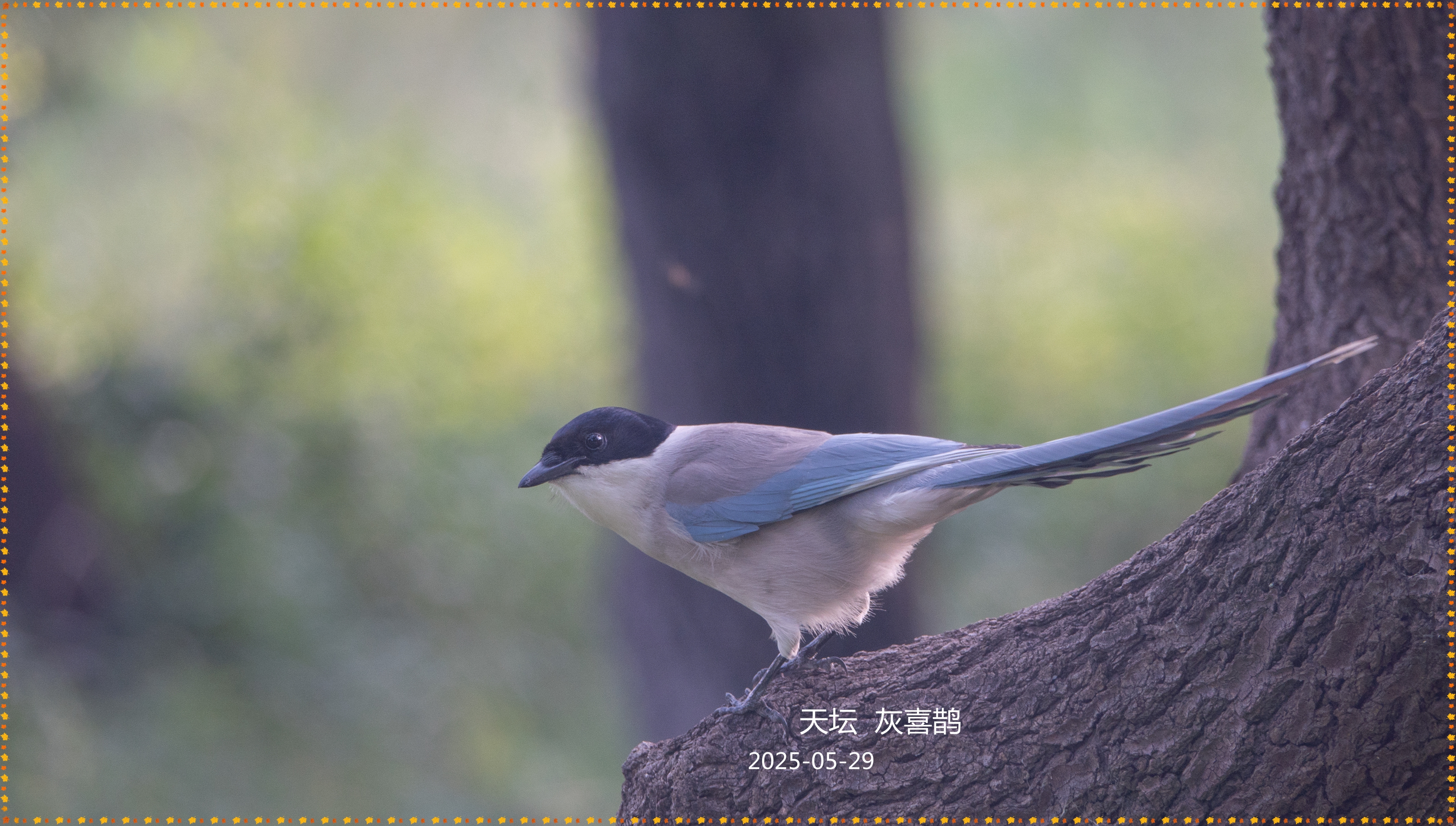 DSC04587__.jpg