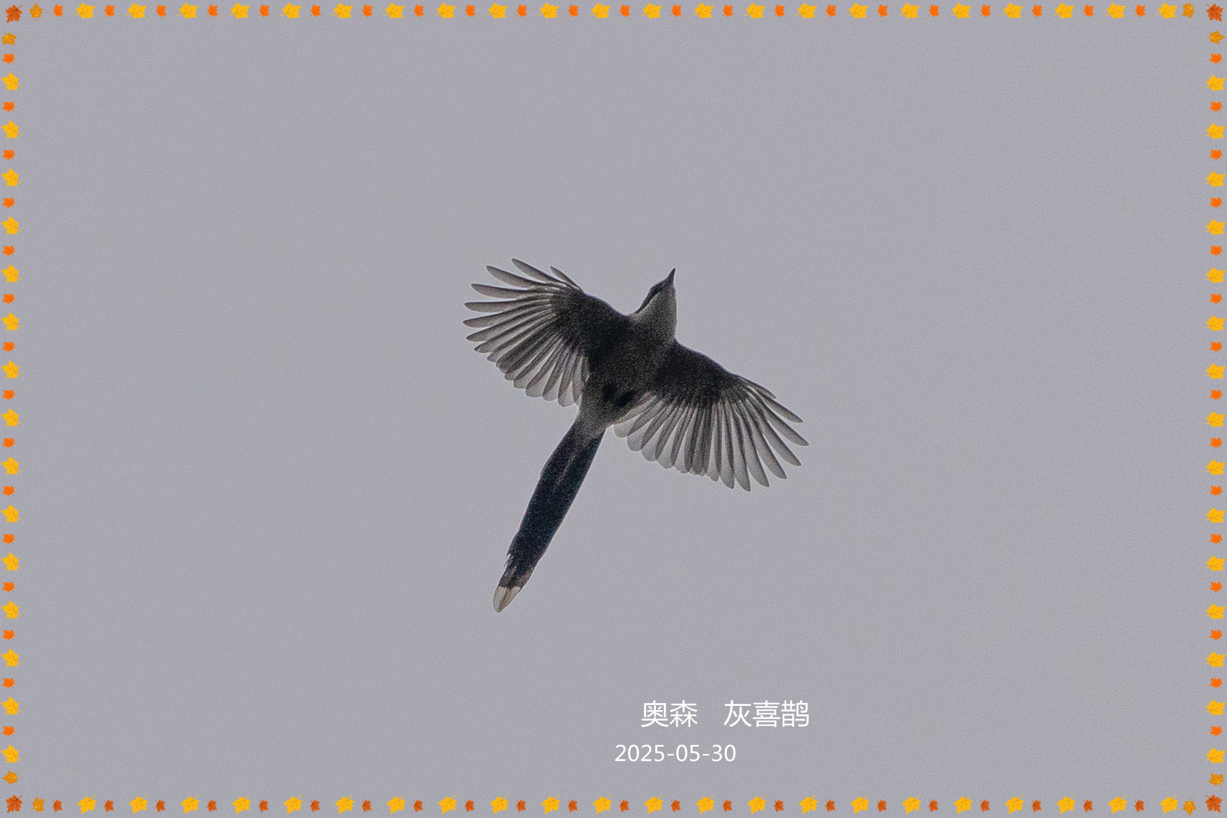 DSC05275.jpg