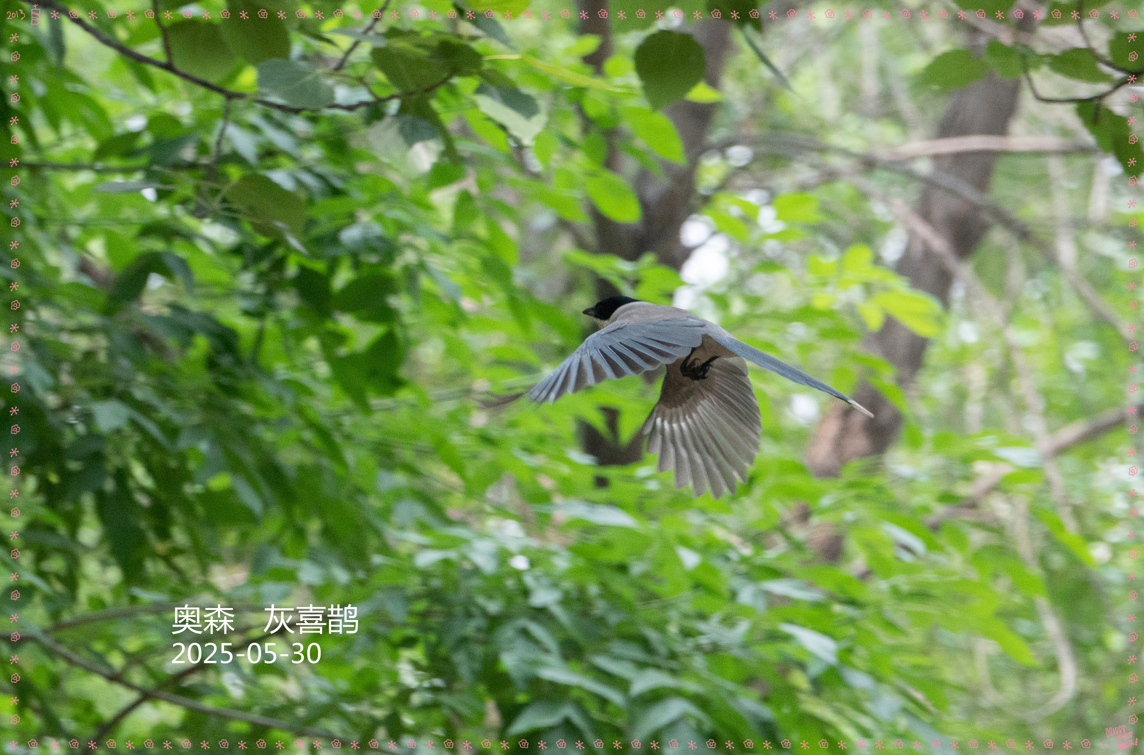 DSC05331_.jpg