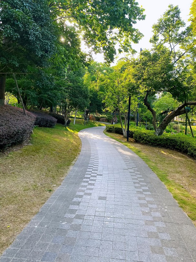 70.jpg