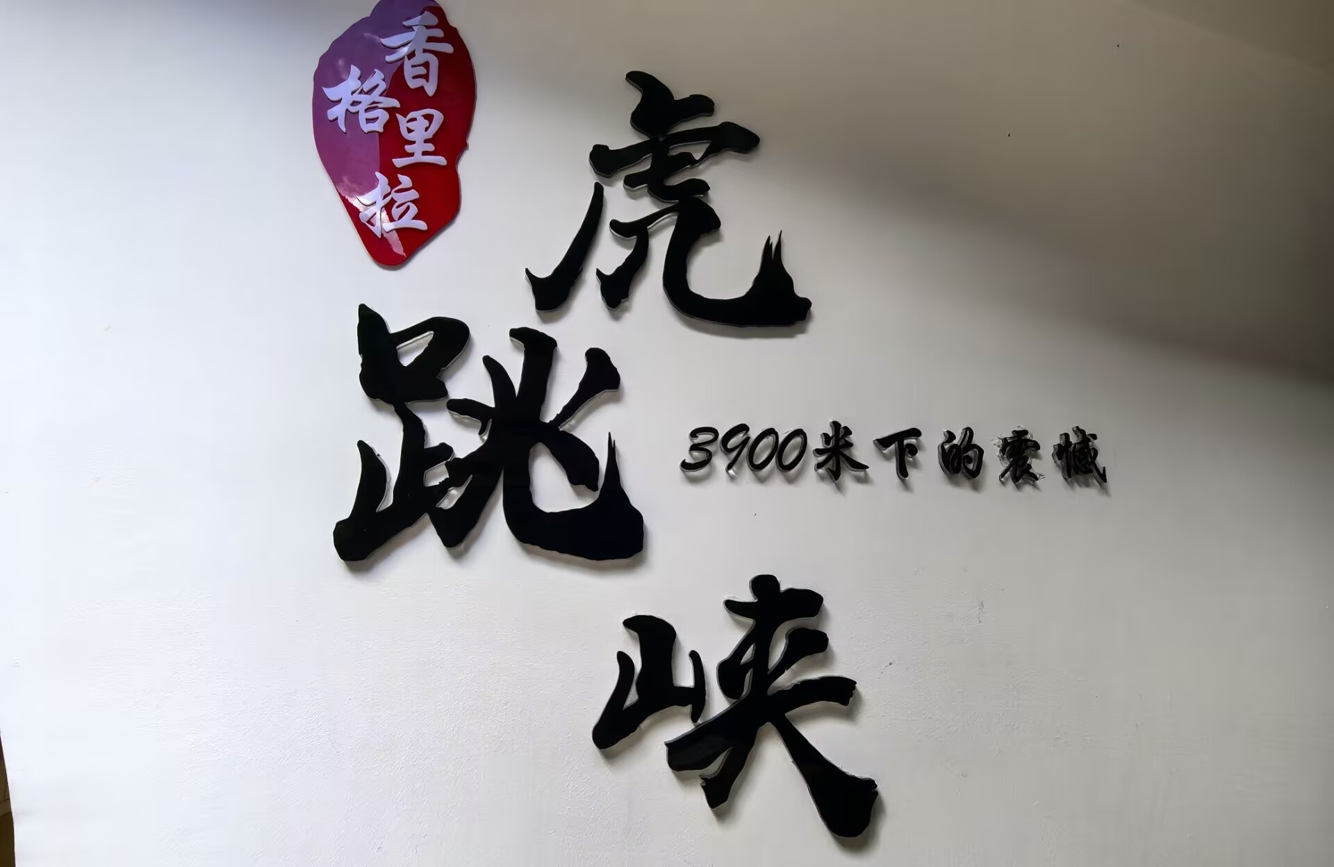 BFE6A0984BC99ED94E6086E372CC5E72.jpg