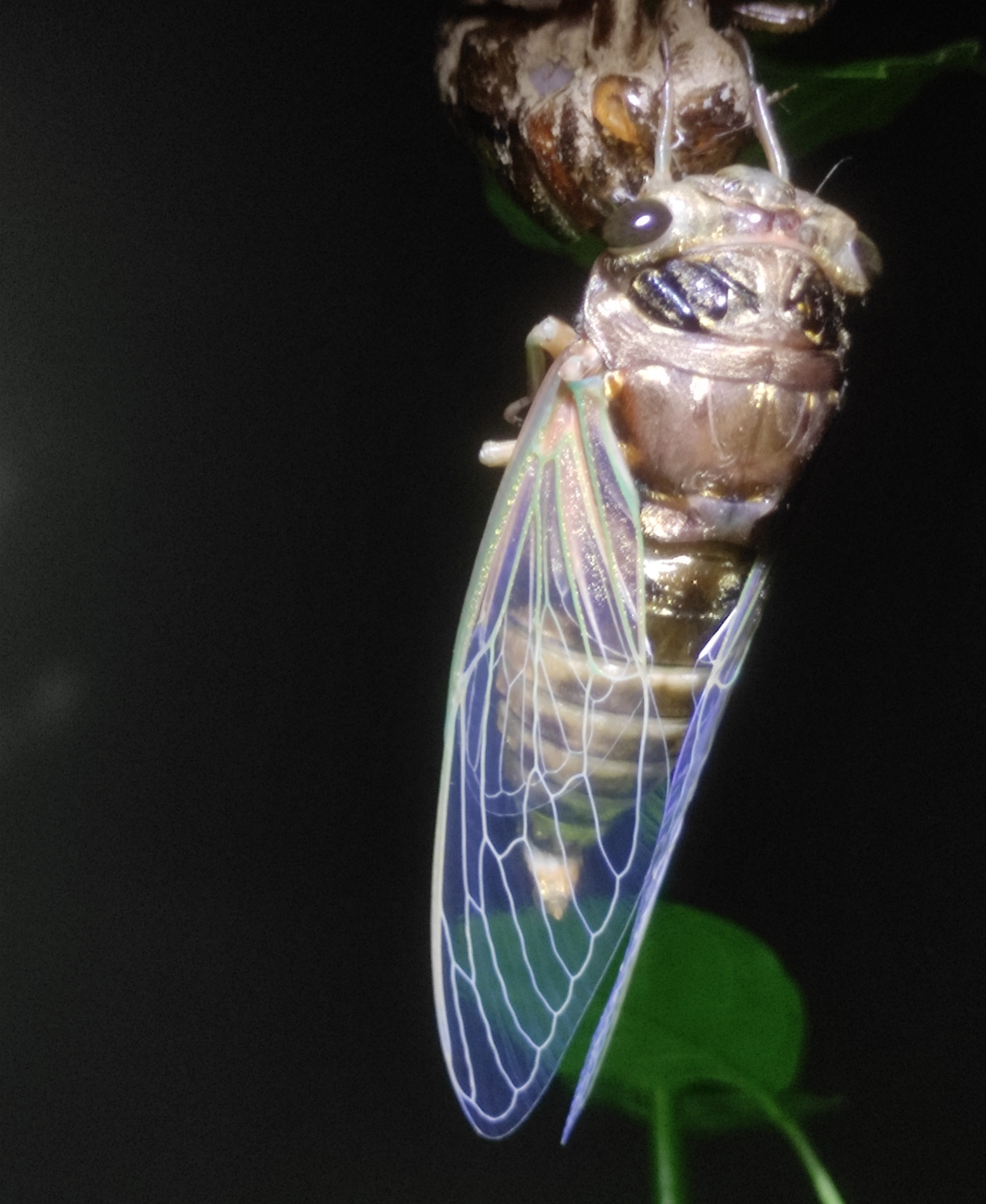 ΢ͼƬ_20250802154609.jpg