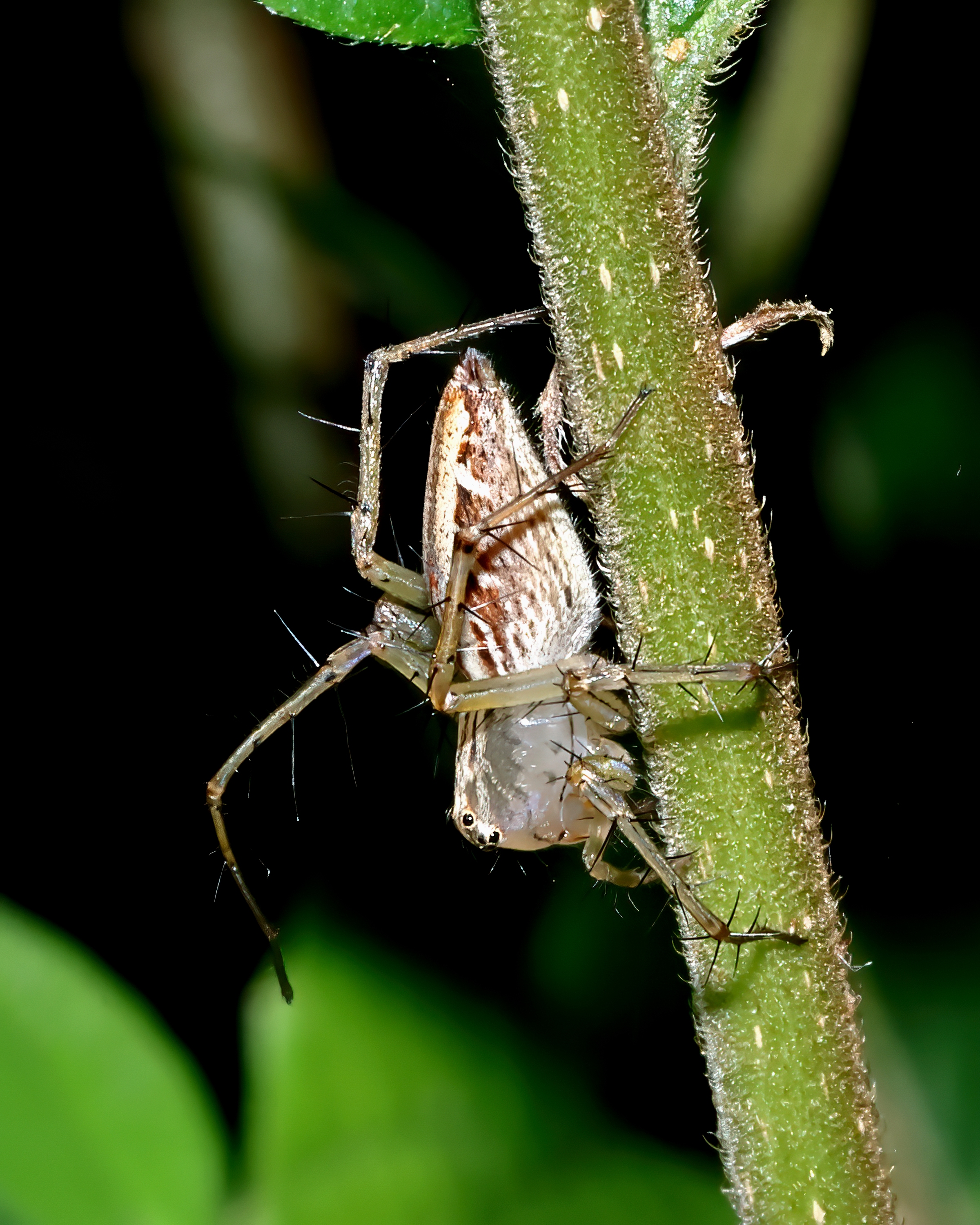 5D2A0103-DeNoiseAI-clear.jpg