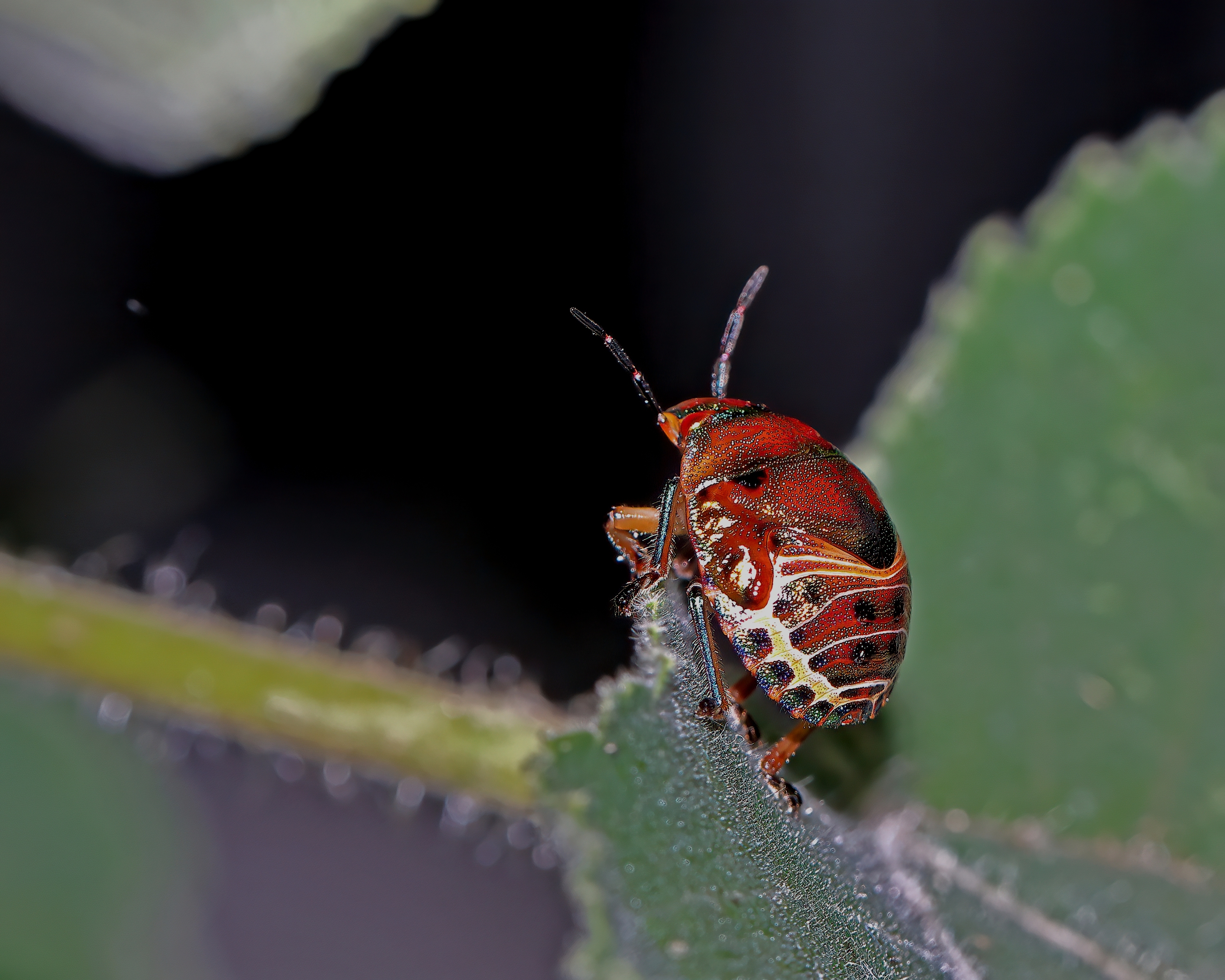 5D2A9822_-DeNoiseAI-clear.jpg