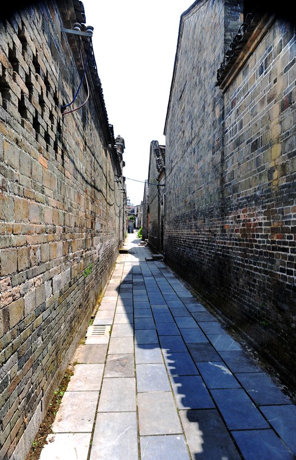 DSC_3091_1.jpg