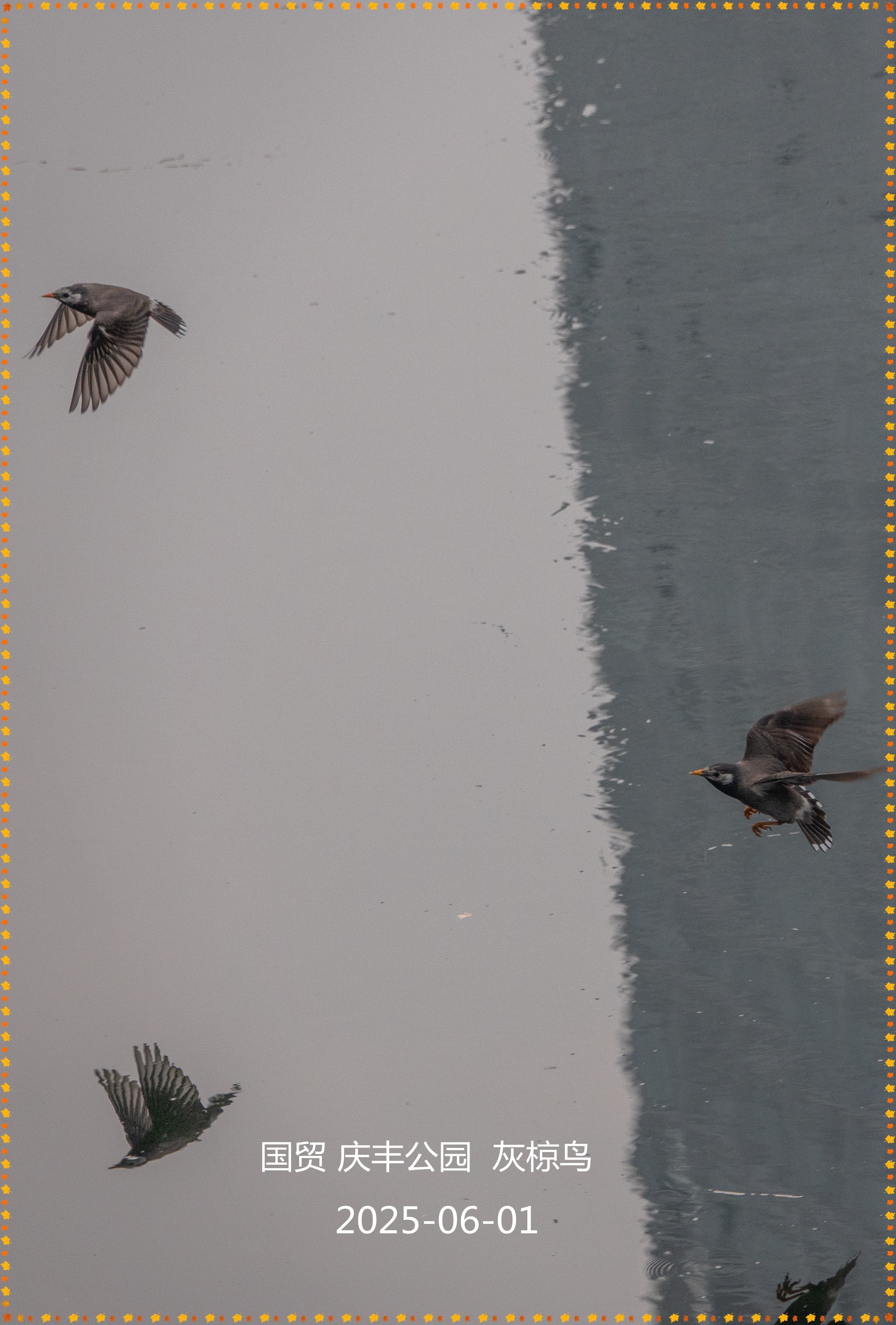 DSC06045_.jpg