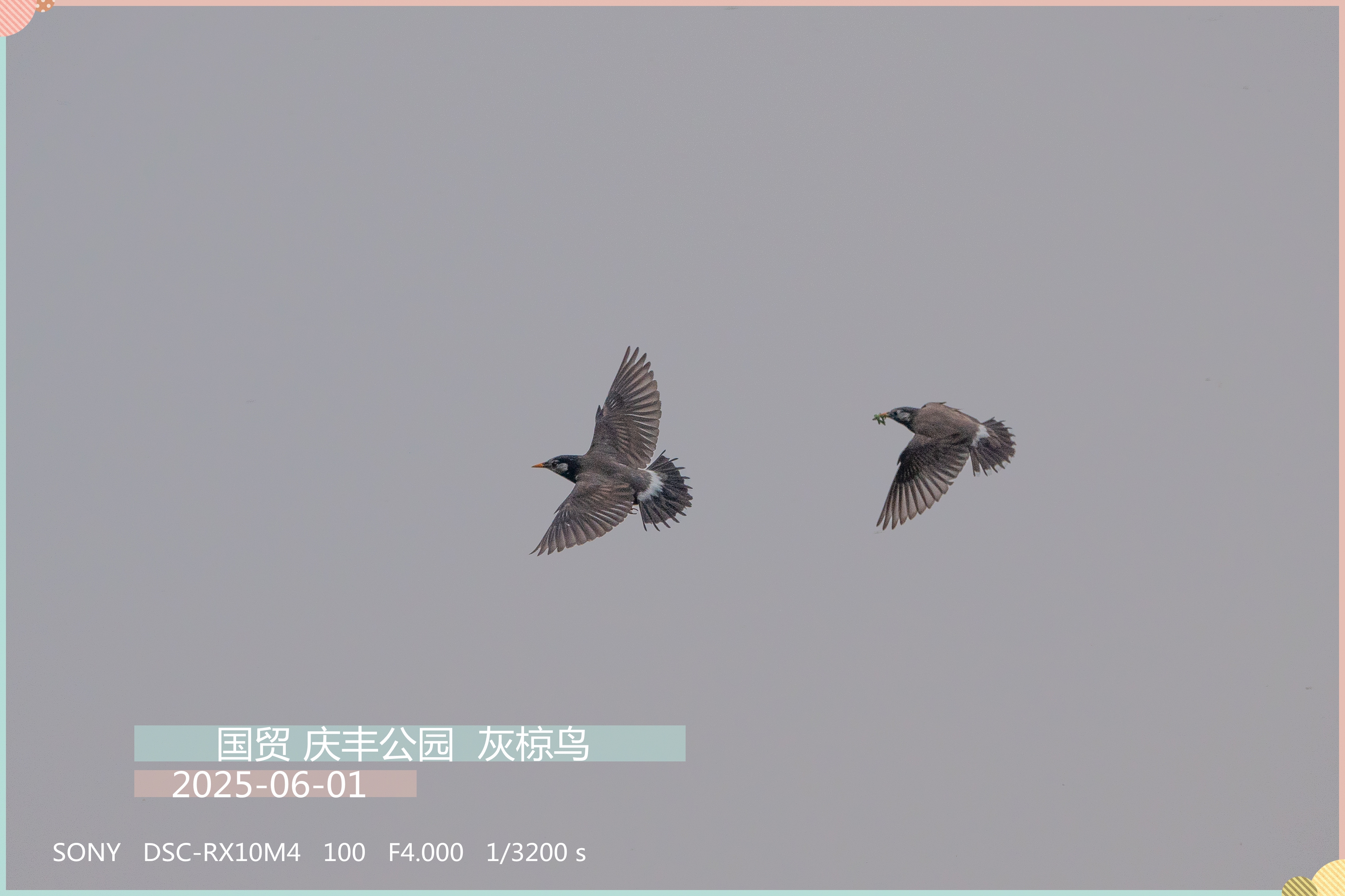 DSC060481_.jpg