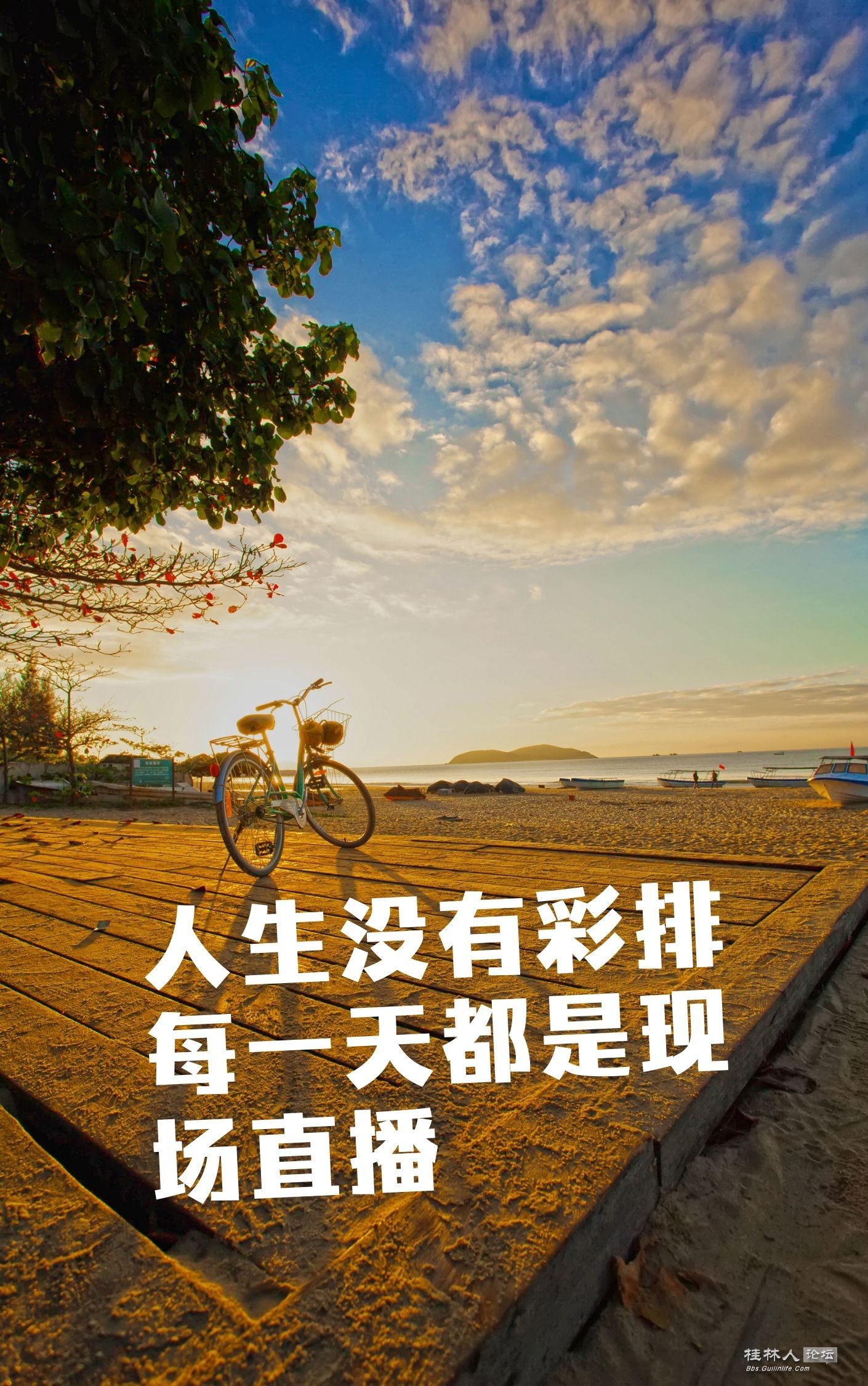 c86cdde1ed97017ef9a94a5be43799791226.jpeg