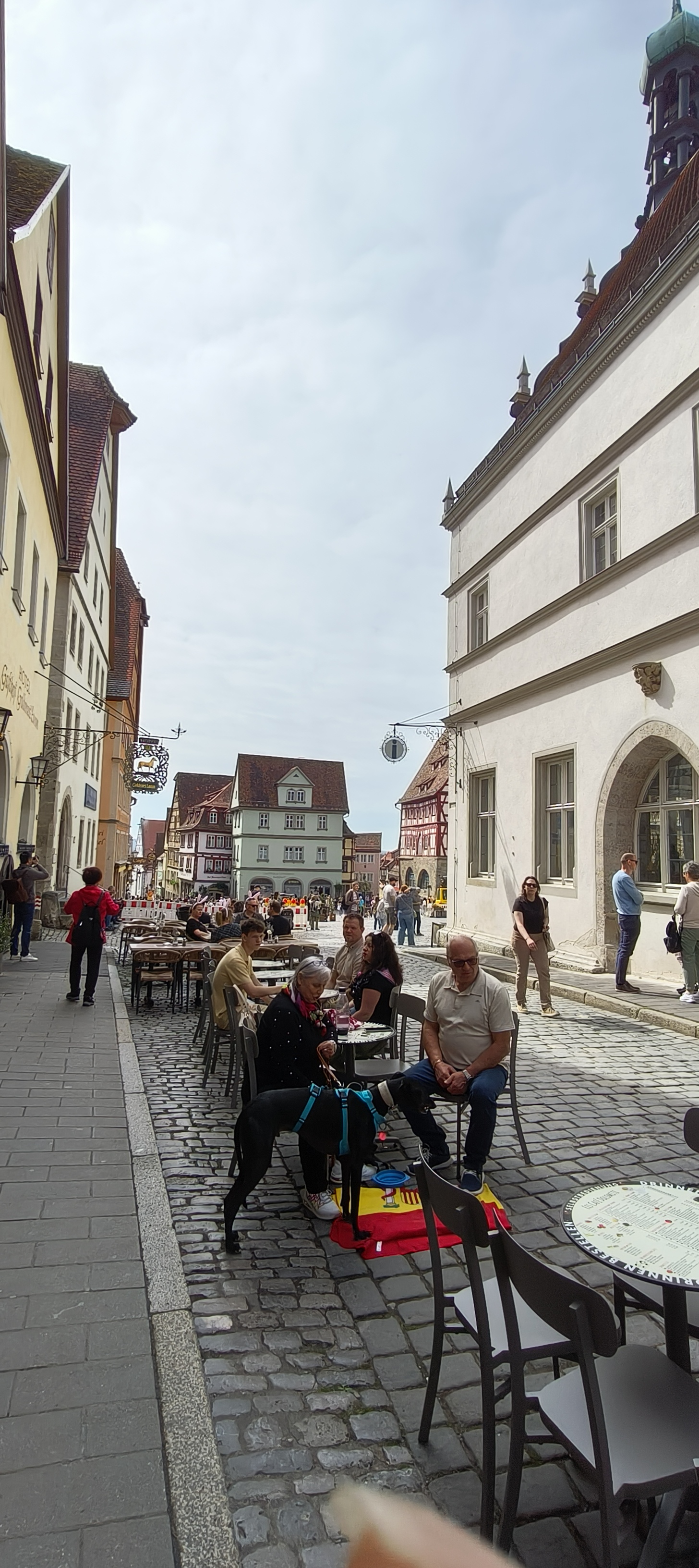 IMG20250420113208.jpg