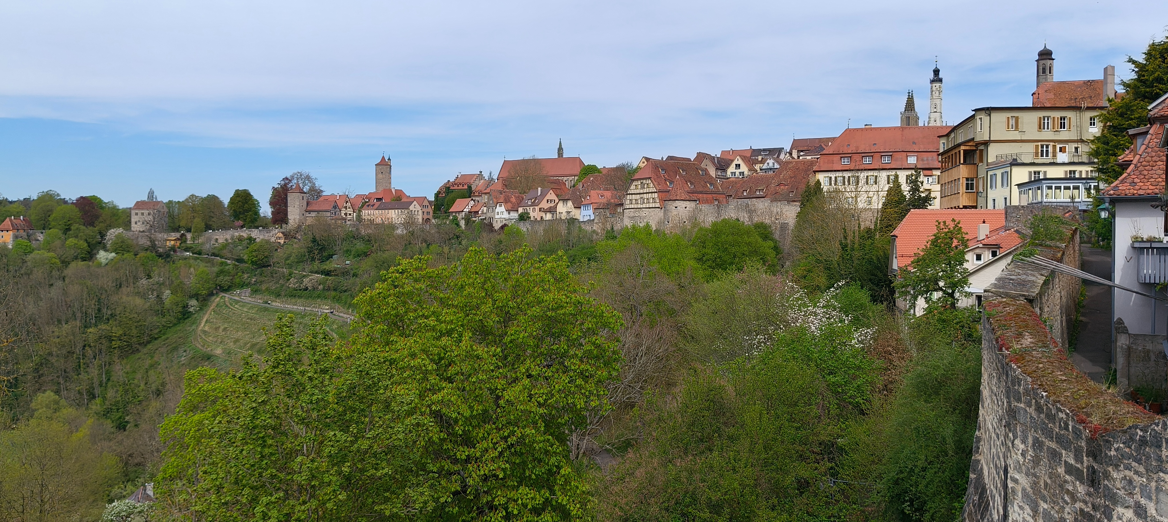 IMG20250420121527.jpg