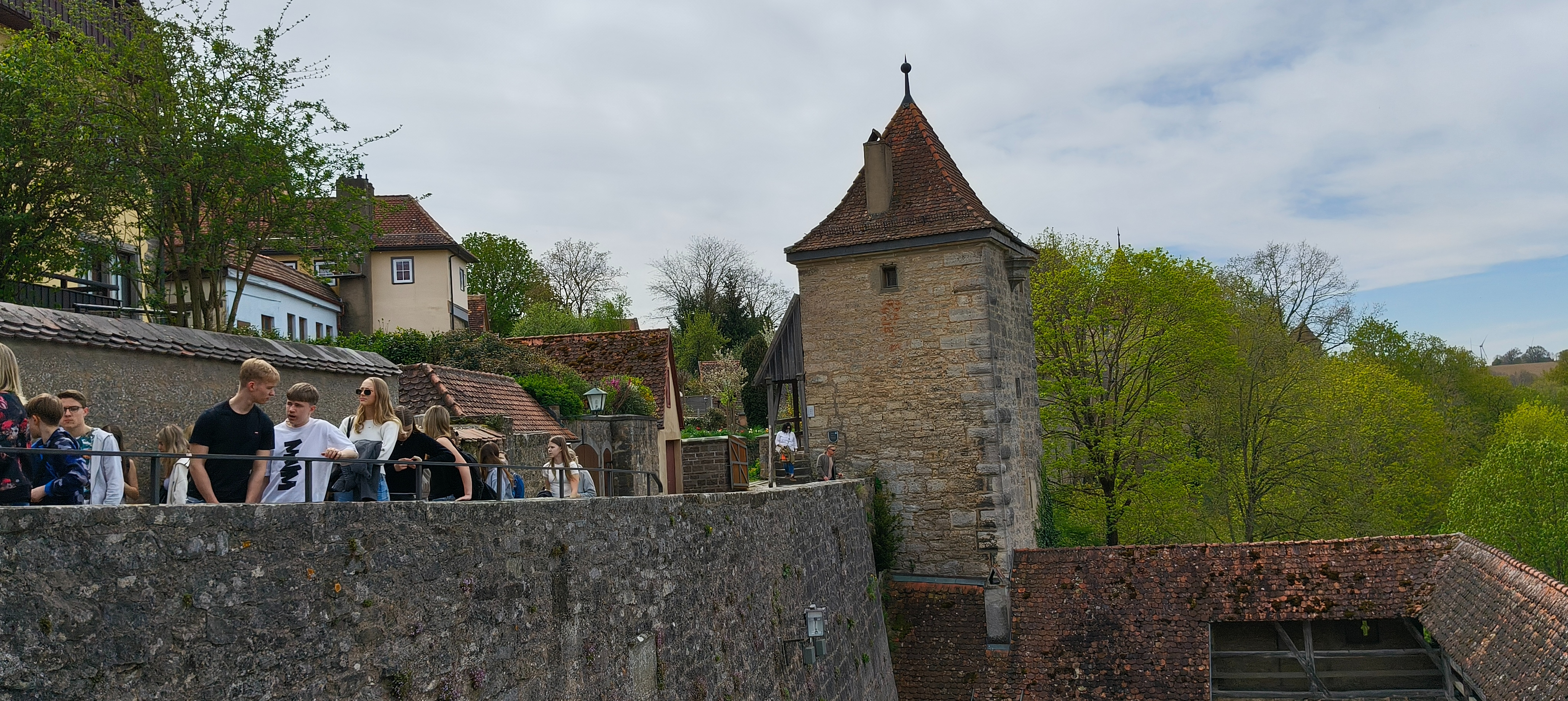 IMG20250420121551.jpg